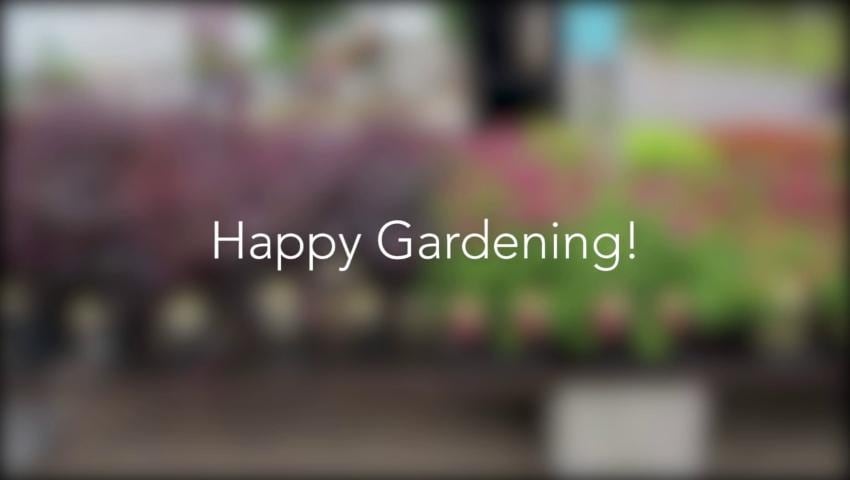 A thumbnail for the video