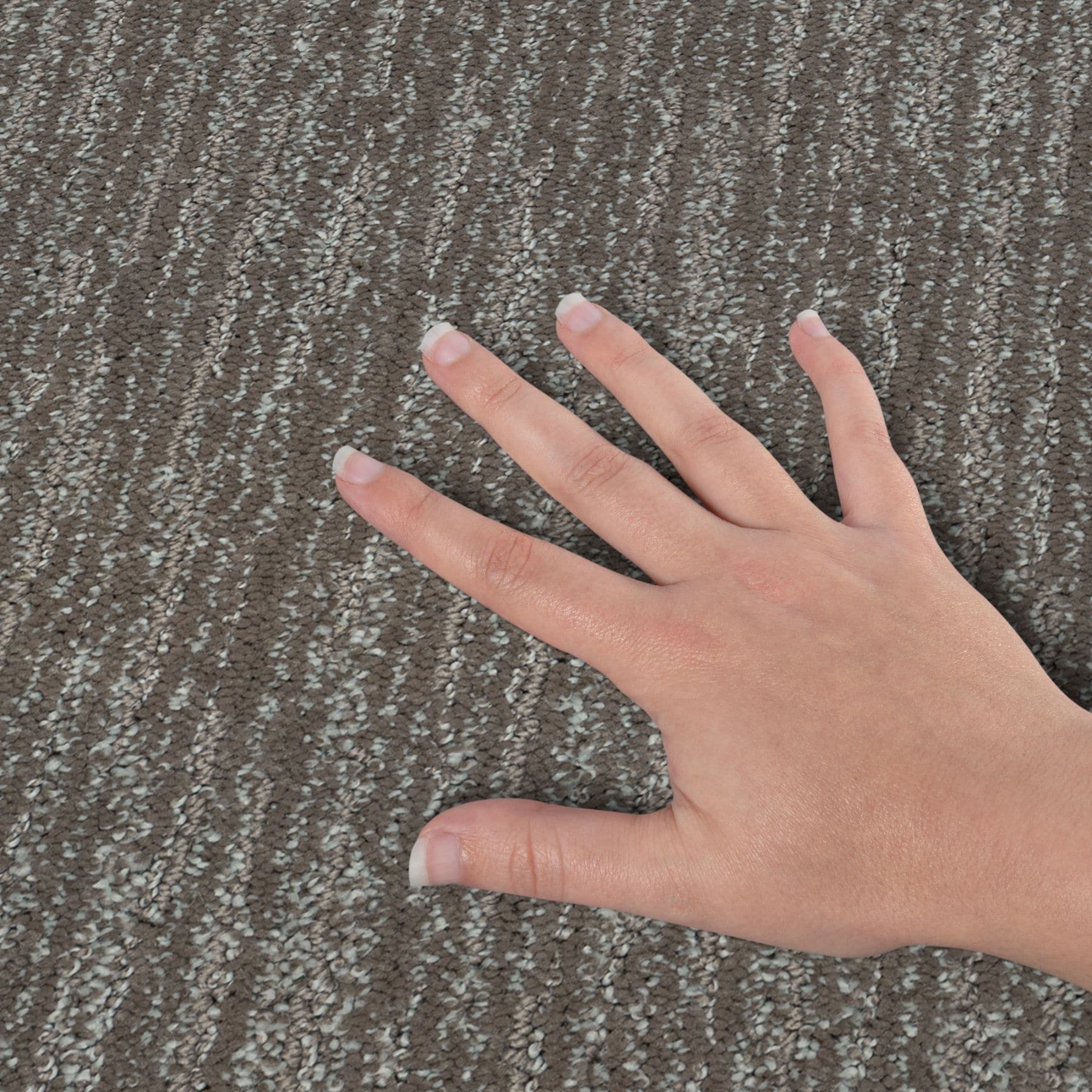 STAINMASTER PetProtect SS056-12-L008 Carpet-Panel - View #4