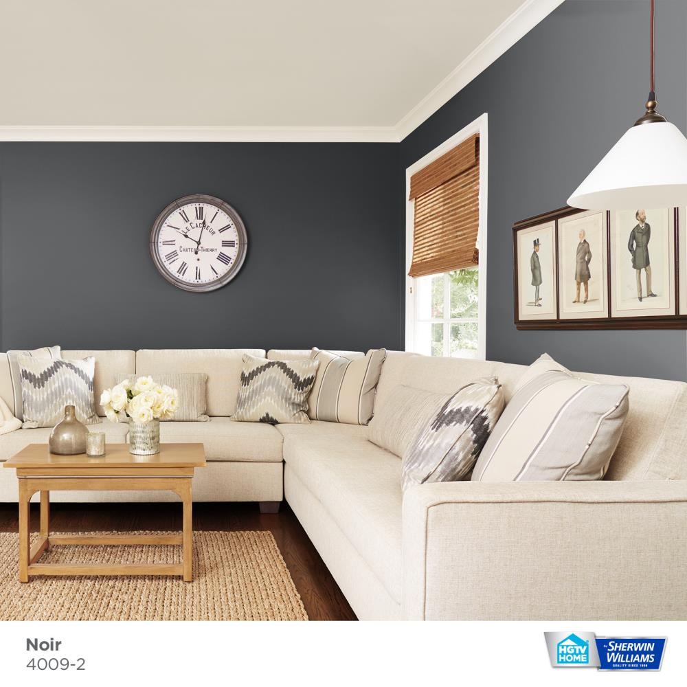 HGTV HOME by Sherwin-Williams Ovation Plus Eggshell Noir 4009-2 Latex ...