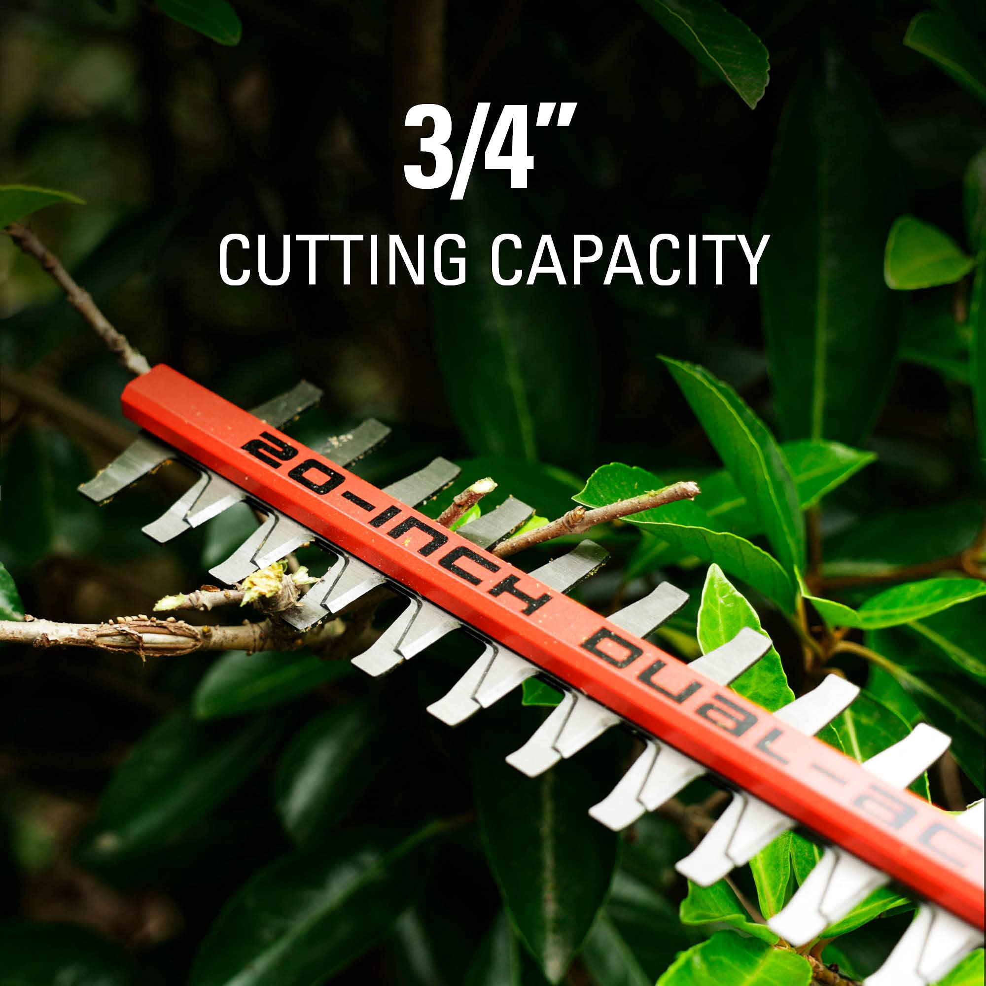 Greenworks HT2068D Cordless-Hedge-Trimmers - View #4