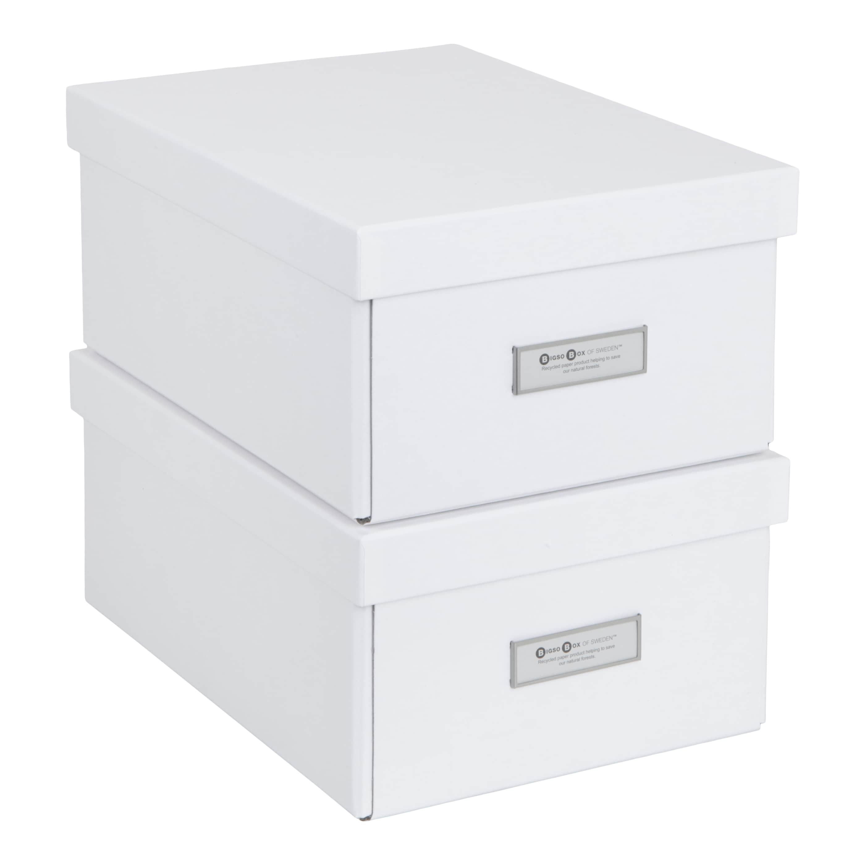 BIGSO BOX OF SWEDEN 888145541 2-Pack Karin 12.4-in W x 5.4-in H x 9-in D White Paper Collapsible Stackable Bin