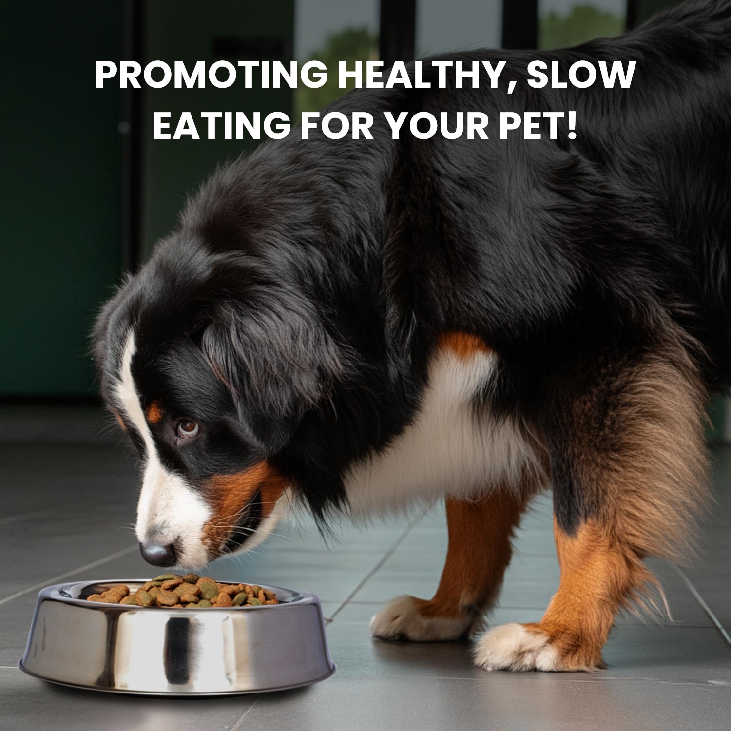 Iconic Pet 51437 Pet-Feeder - View #7
