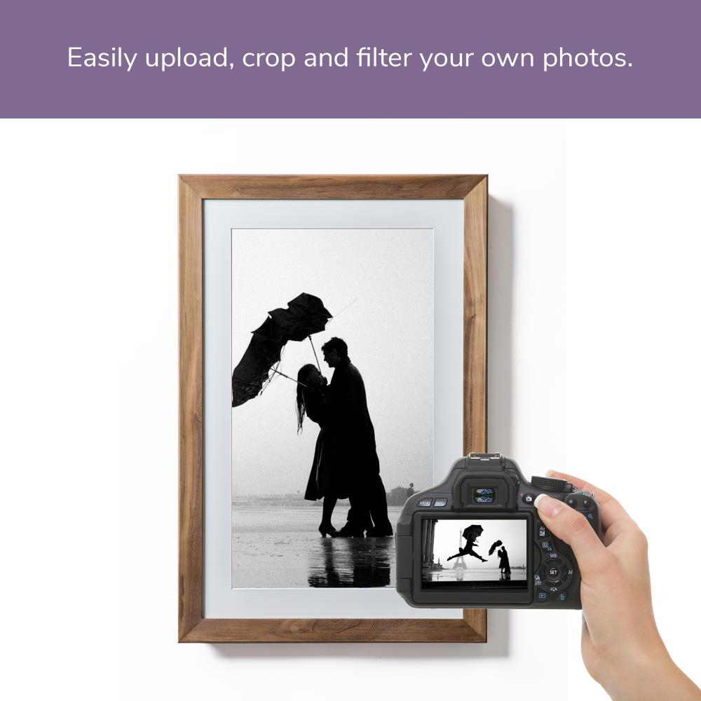NETGEAR MC227HW-100PAS Picture-Frames - View #4