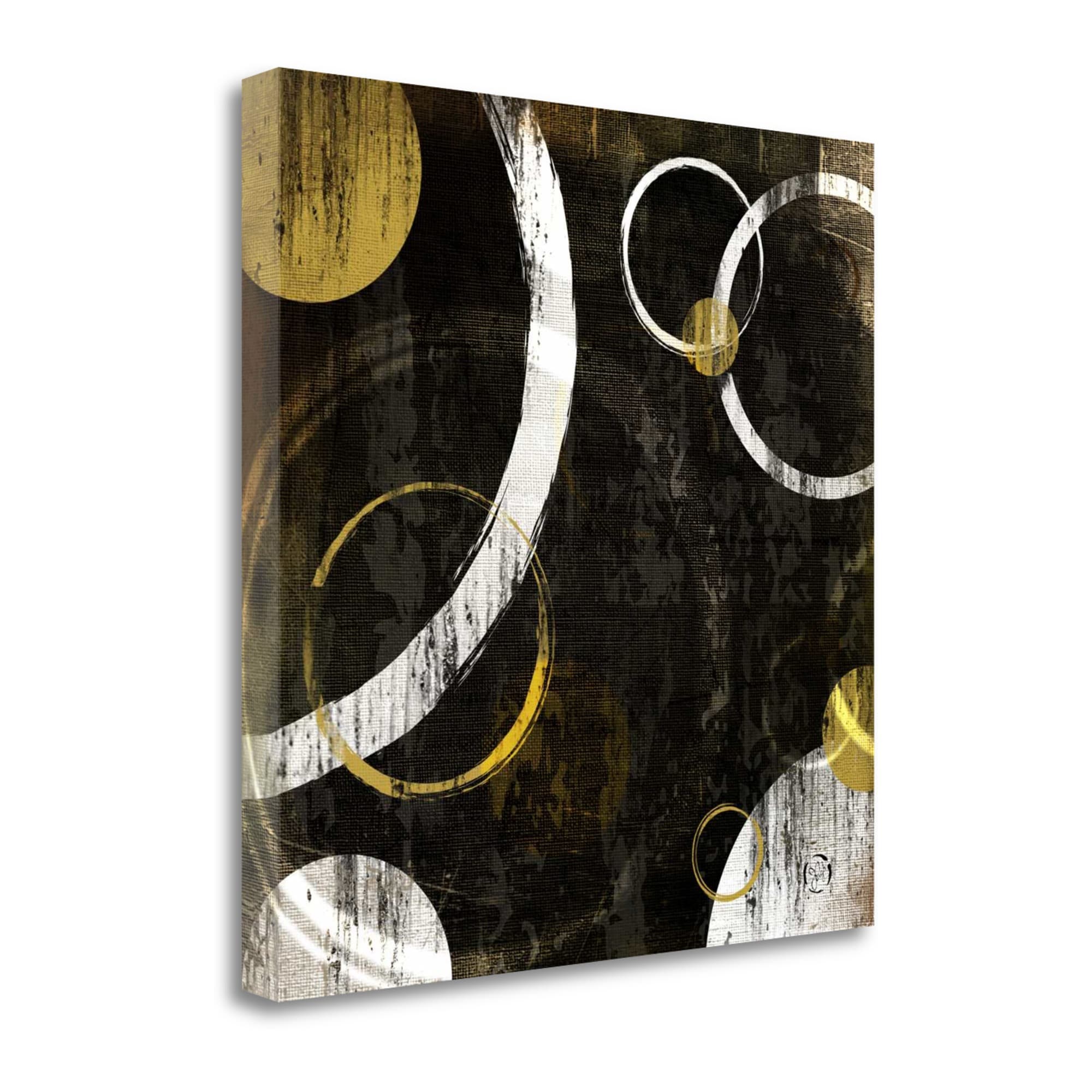 Tangletown Fine Art SBJP2077-2424C Circles I Jennifer Pugh 24-in H x 24-in W Abstract Print on Canvas