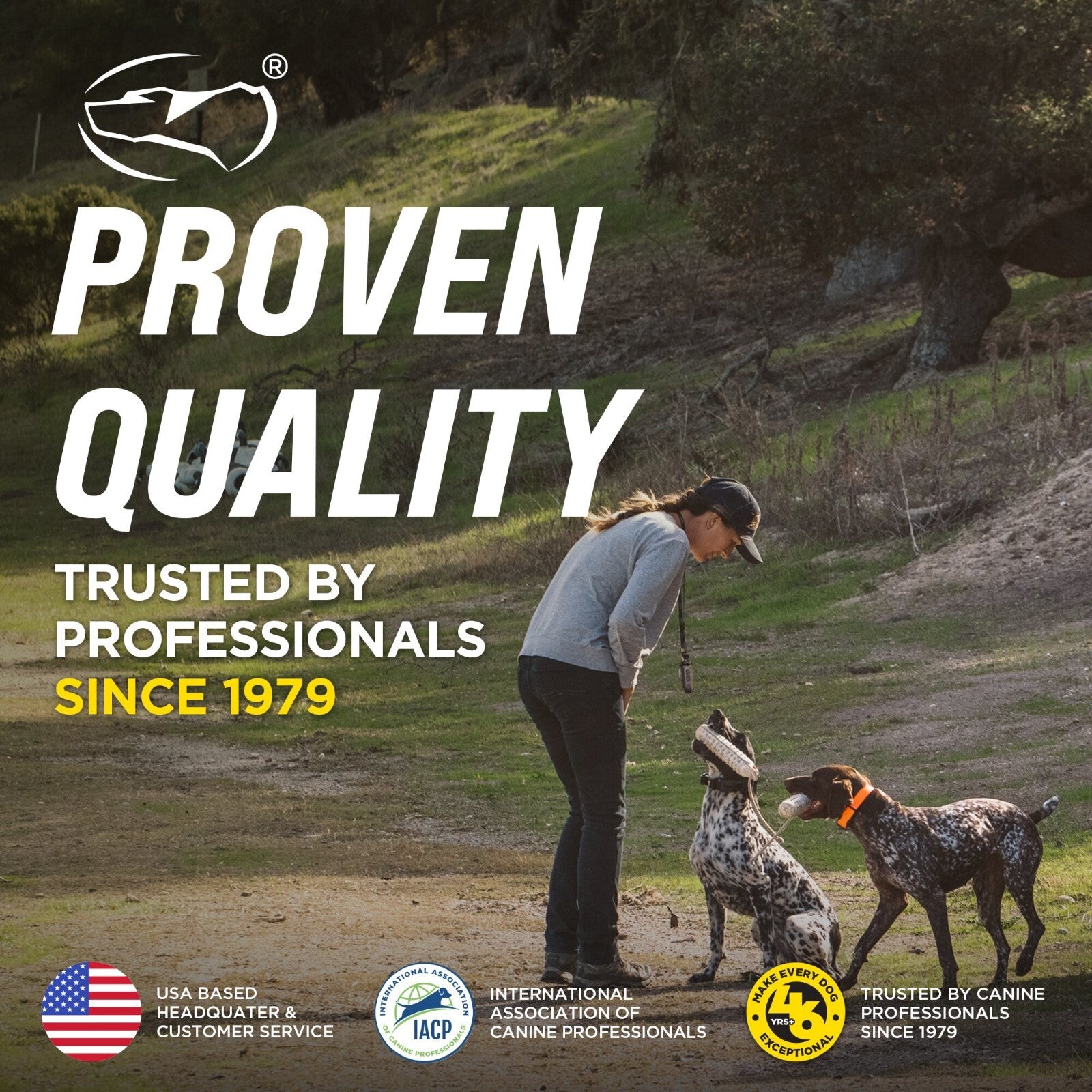 Dogtra 644622021151 Pet-Training-Collars - View #9