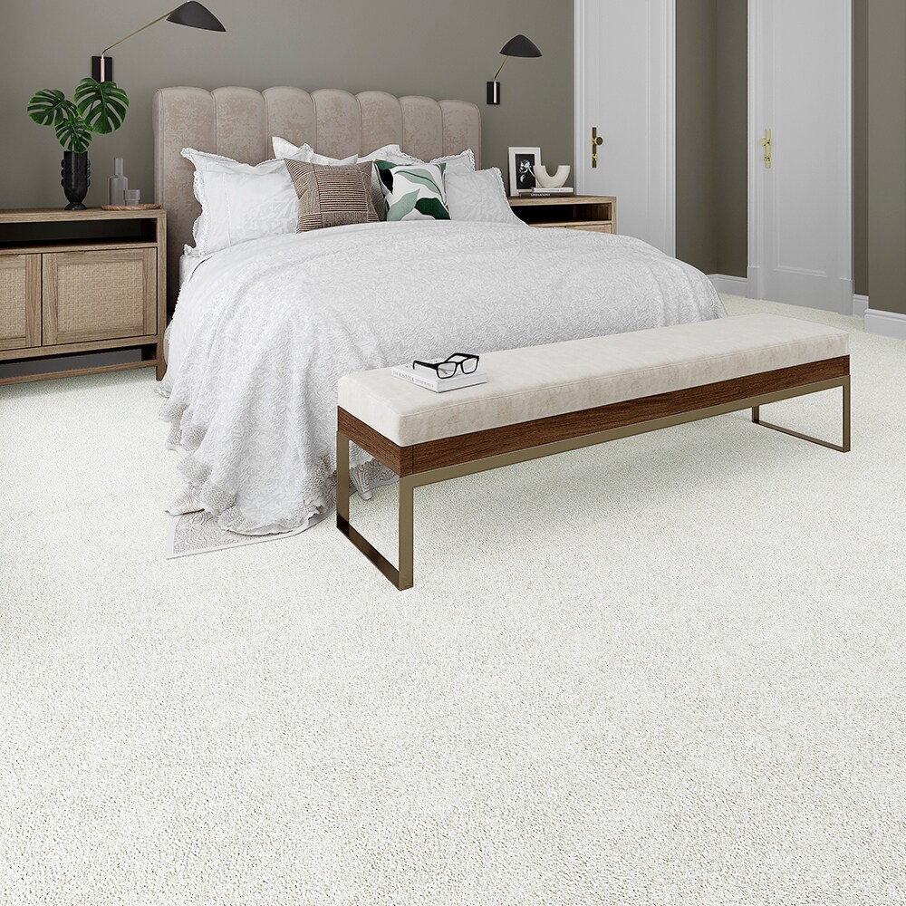STAINMASTER PetProtect STP25-L003-0808 Carpet-Samples - View #2