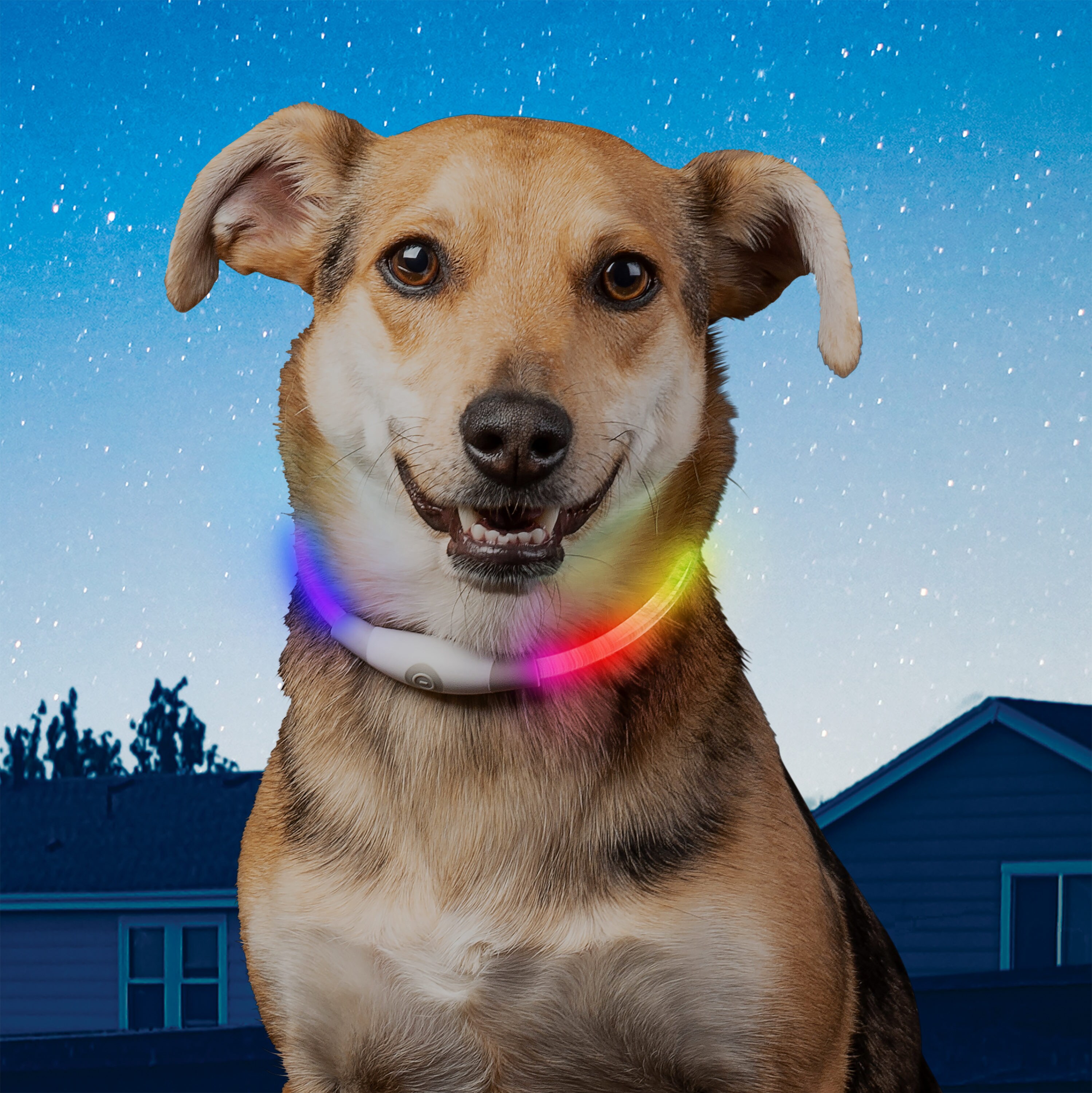 Nite Ize NHOMR-07S-R3 Dog-Collars-Harnesses - View #10