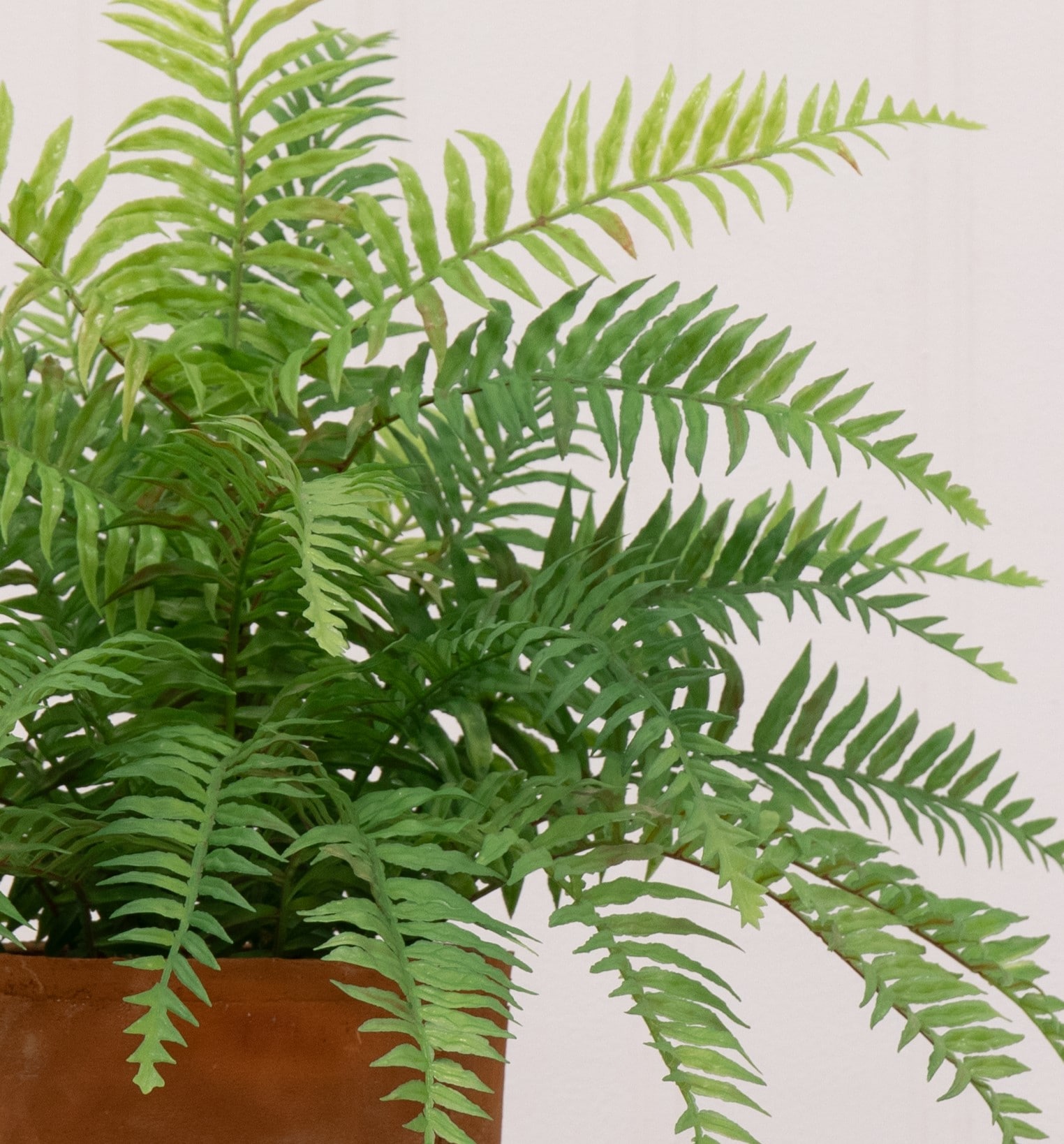allen + roth P1004-LW Artificial-Plants-Trees - View #2