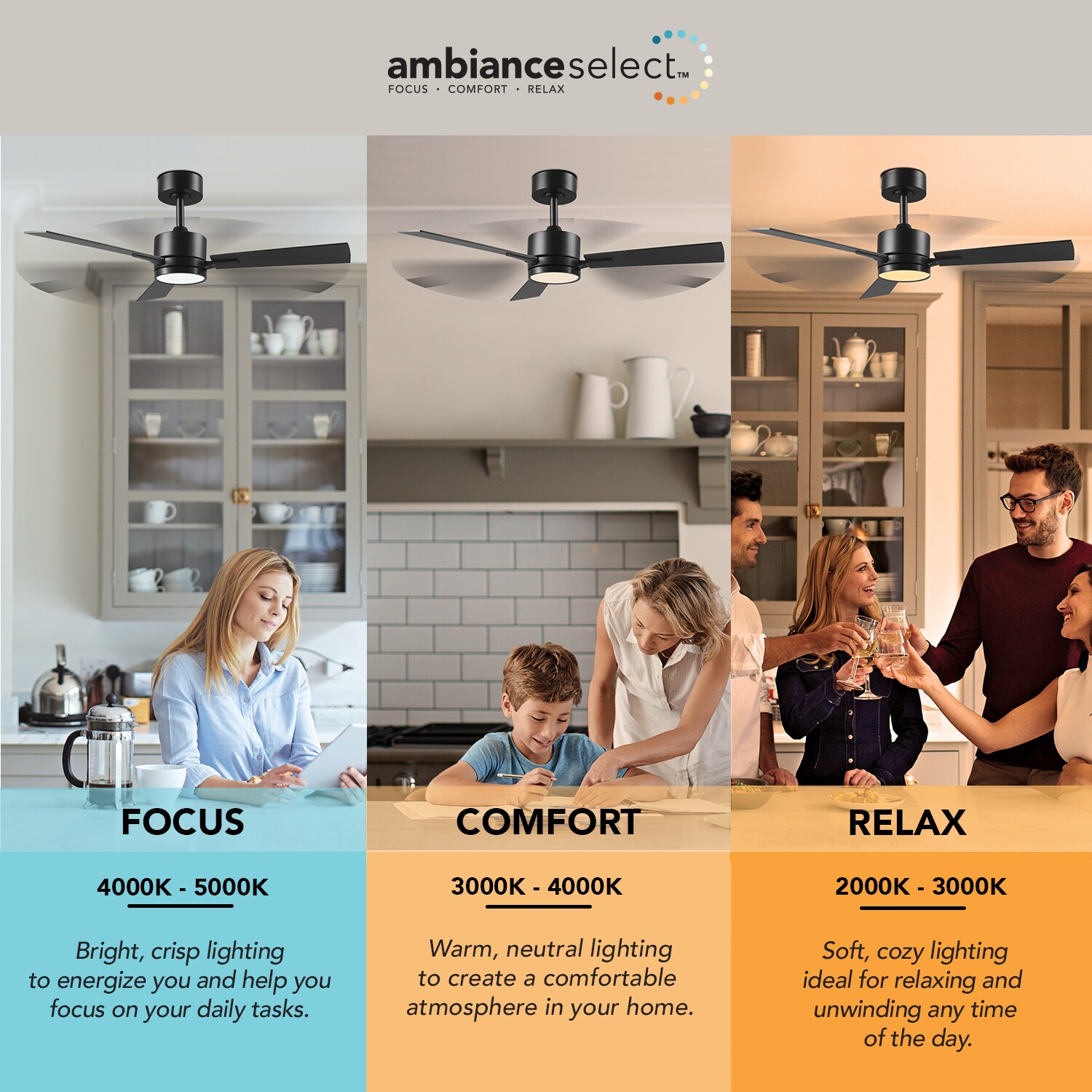 Globe Electric 91010778 Ceiling-Fans - View #8