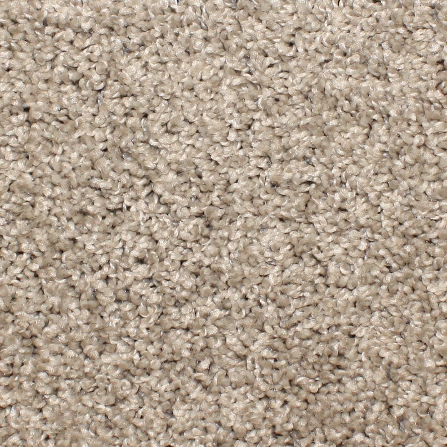 STAINMASTER S747888COBBLEST-TONE (Sample) Essentials Durand Cobblestone Textured Carpet