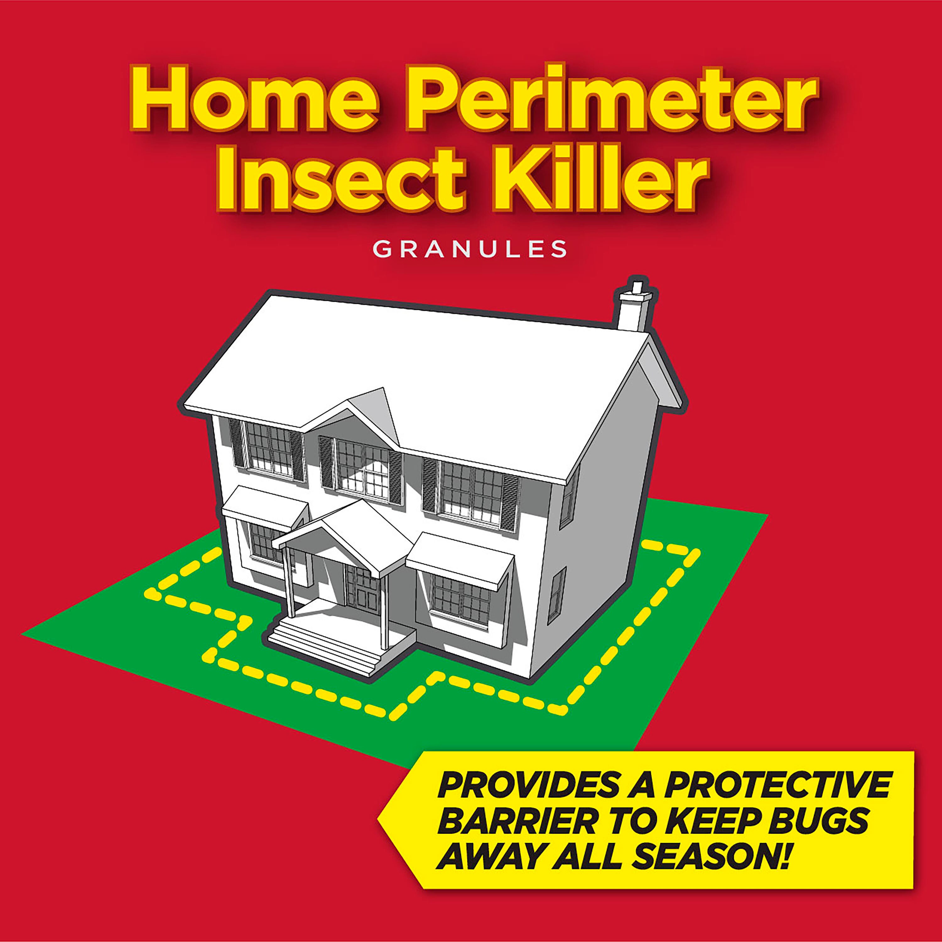 No Bugs Allowed! Insulation for Your Pest-Free Living — Mother