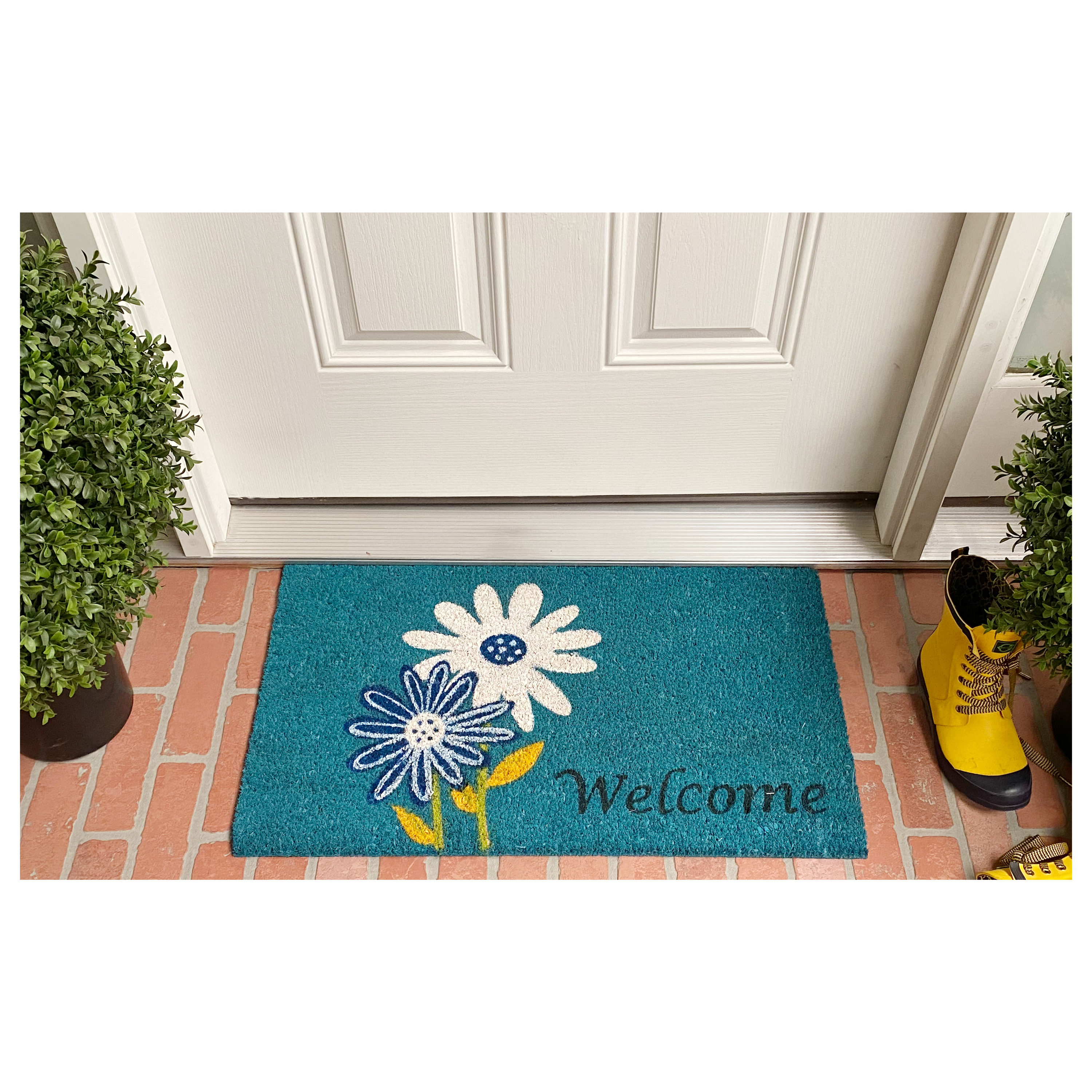 Callowaymills 121861729 Mats-Cat - View #3