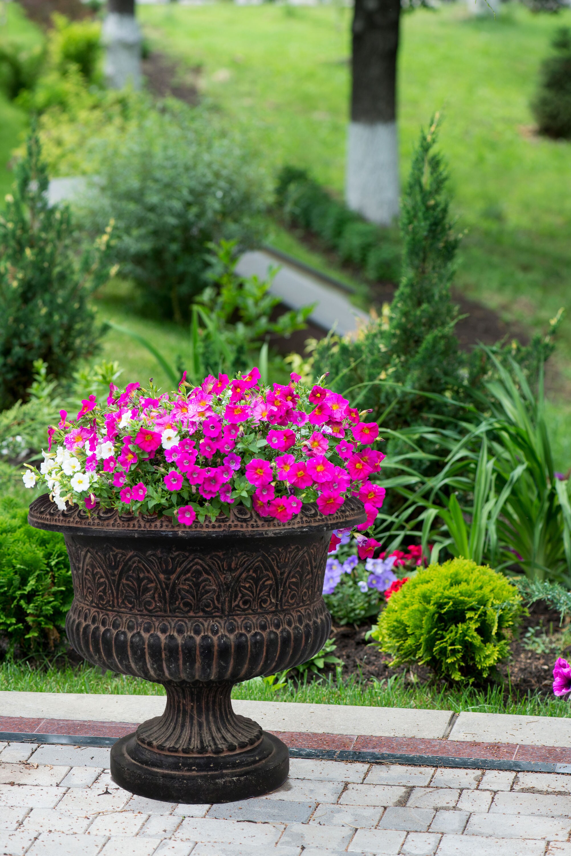 MPG Planters PF5821AC Planter-Window-Box - View #2