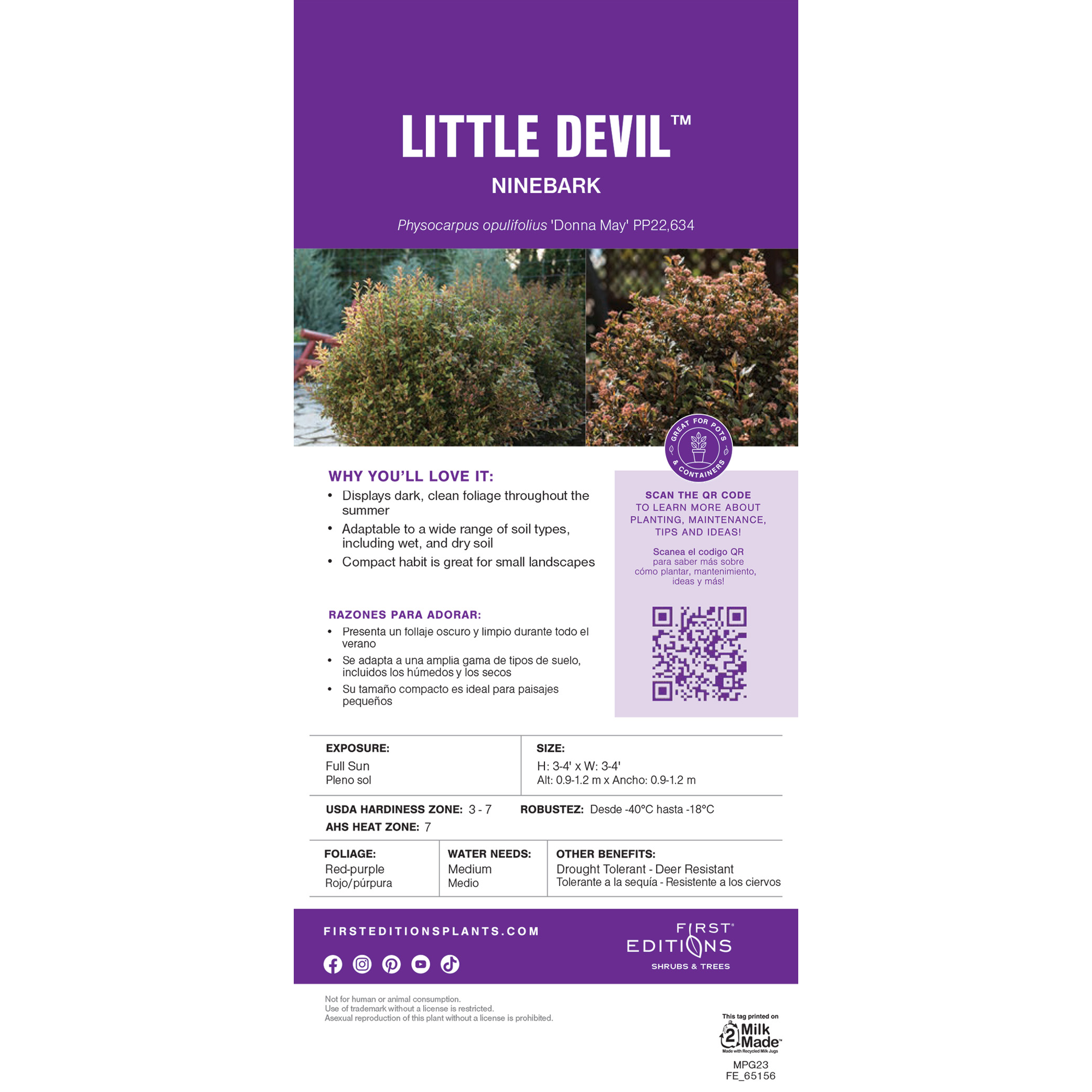 Lowe's NURSERY shrubs - View #17