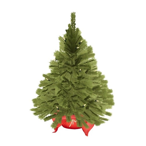 Three-dimensional representation of the product