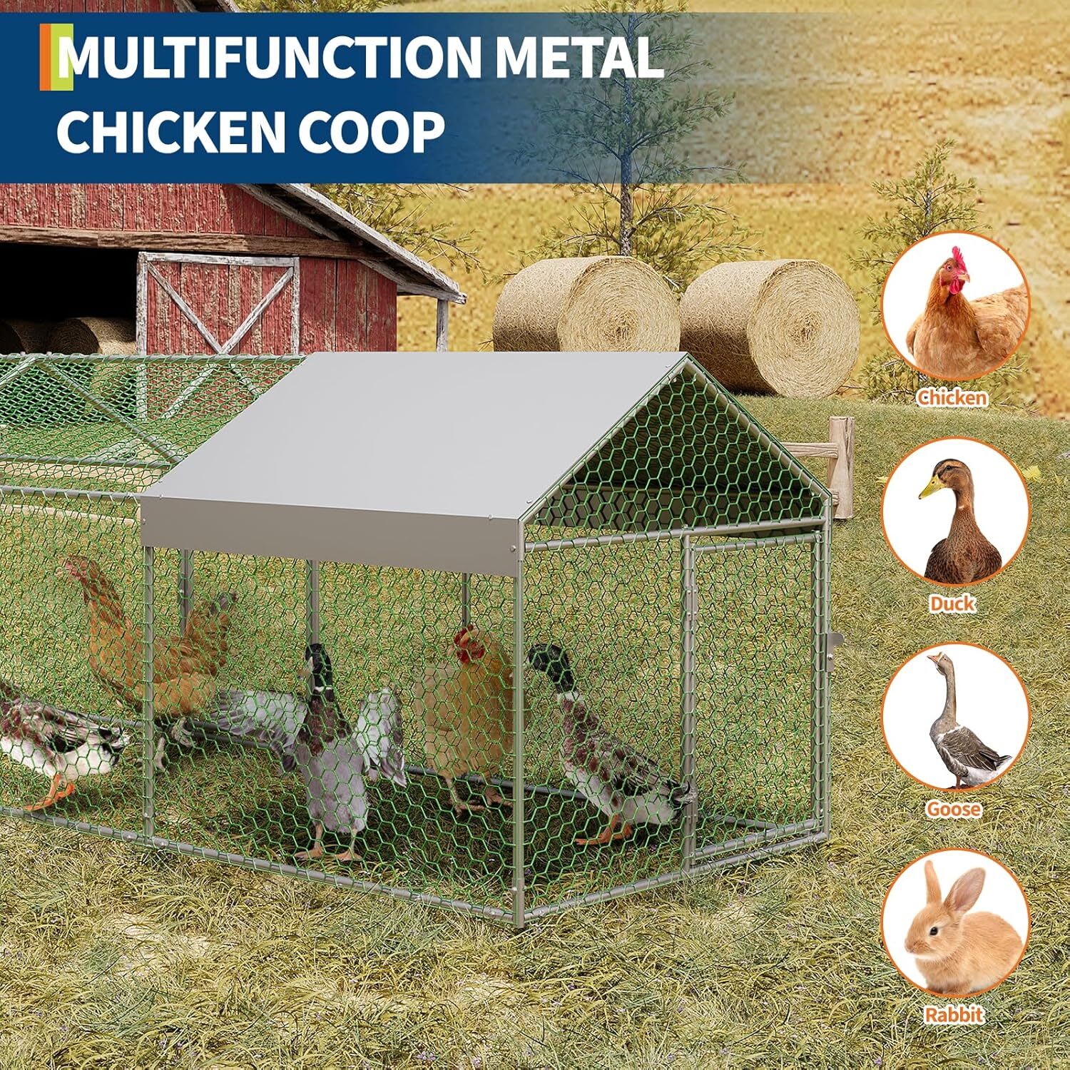 Qeetex GGL-PPG-33EVRBGU Chicken-Coops-Rabbit-Hutches - View #5