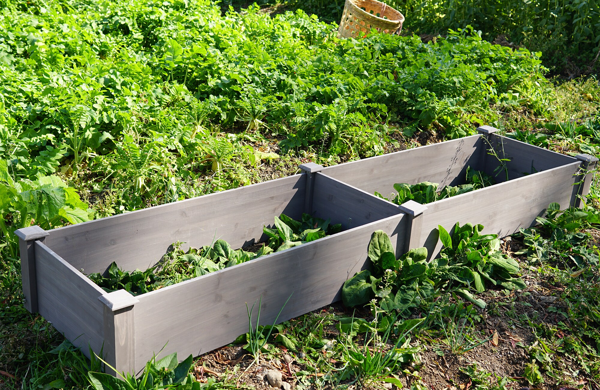 Tatayosi JL-163448 Raised-Garden-Beds - View #7