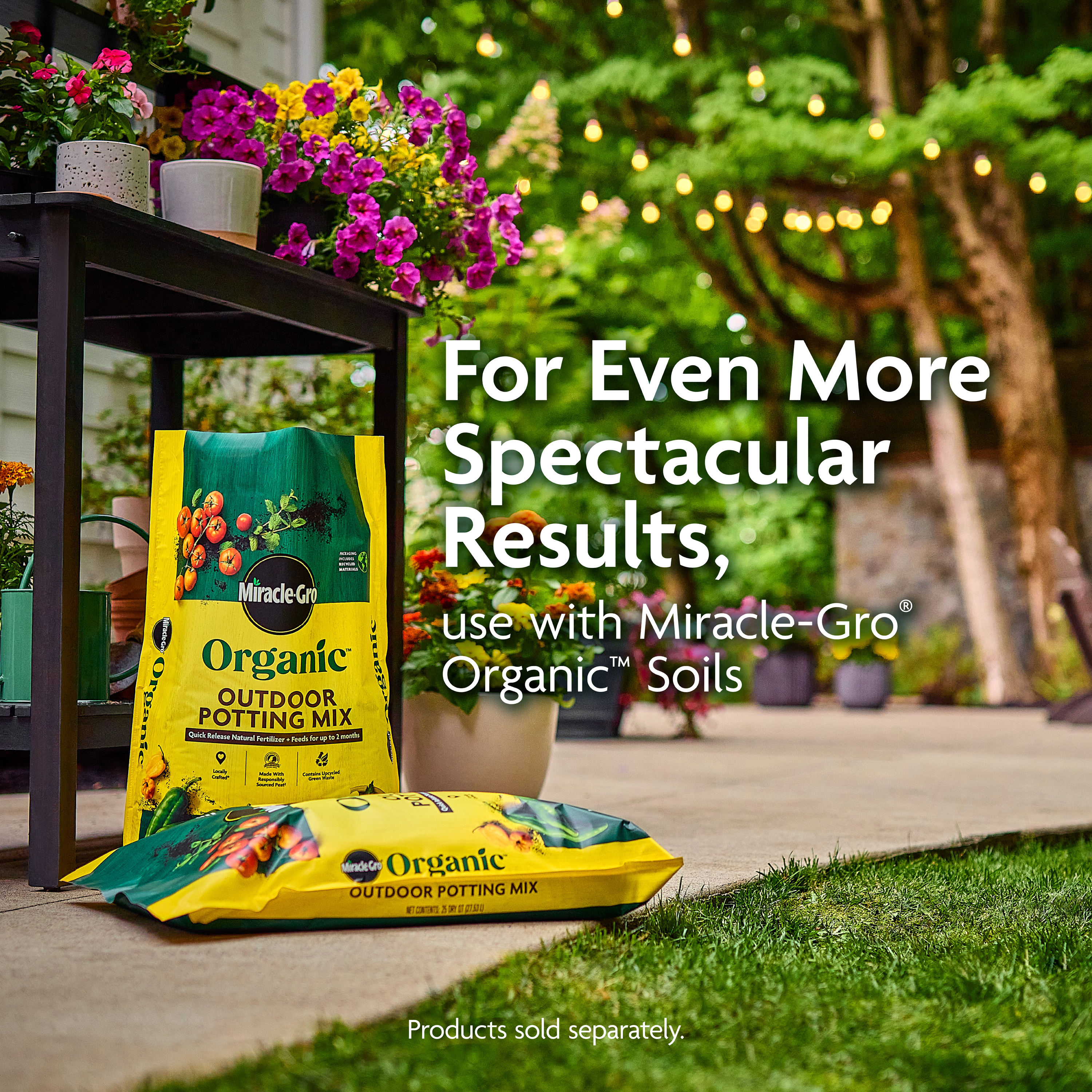 Miracle-Gro 3035906 Plant-Food - View #10