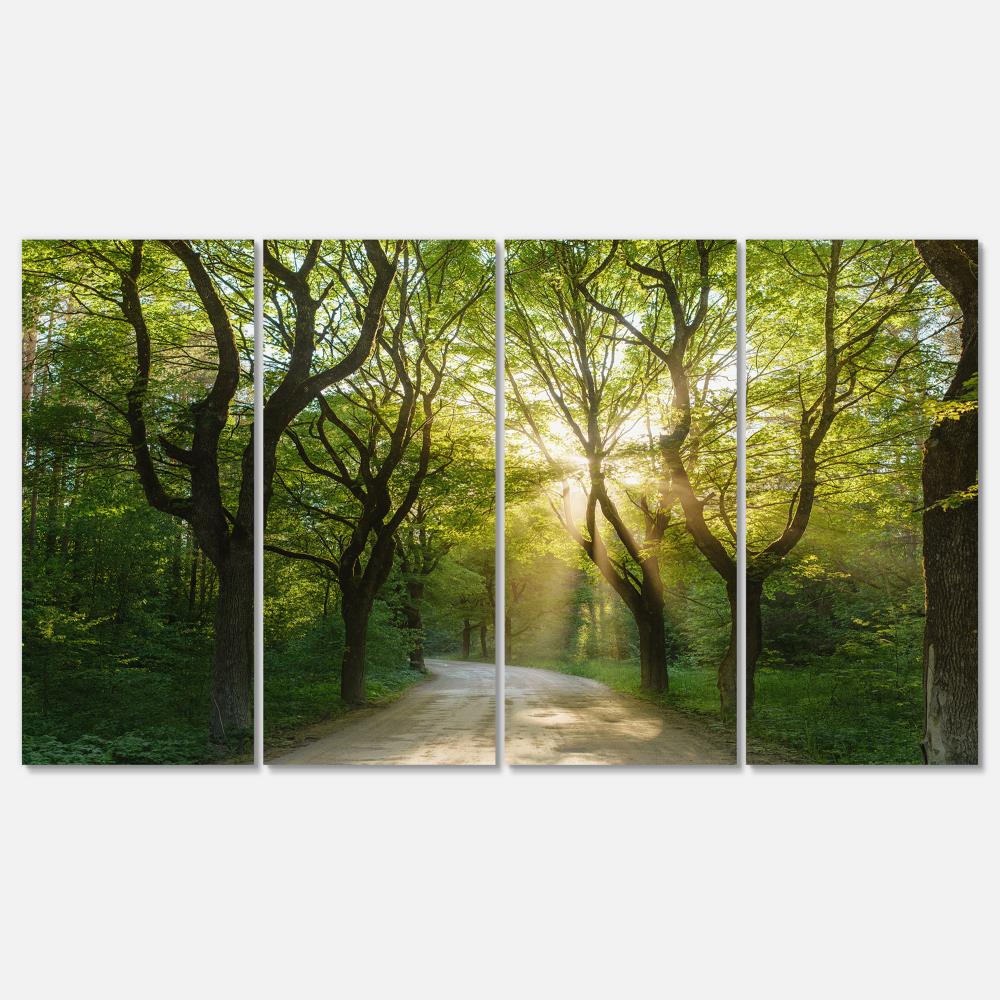 Designart PT15420-271 28-in H x 48-in W Landscape Print on Canvas