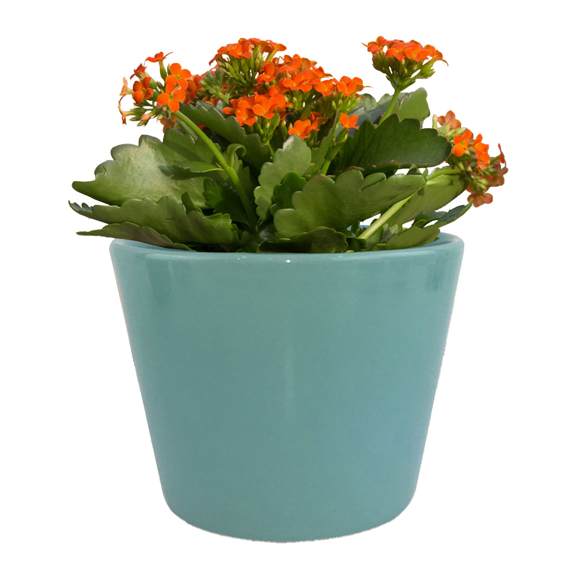 allen + roth CR01371N-05M3 Planter-Window-Box - View #5