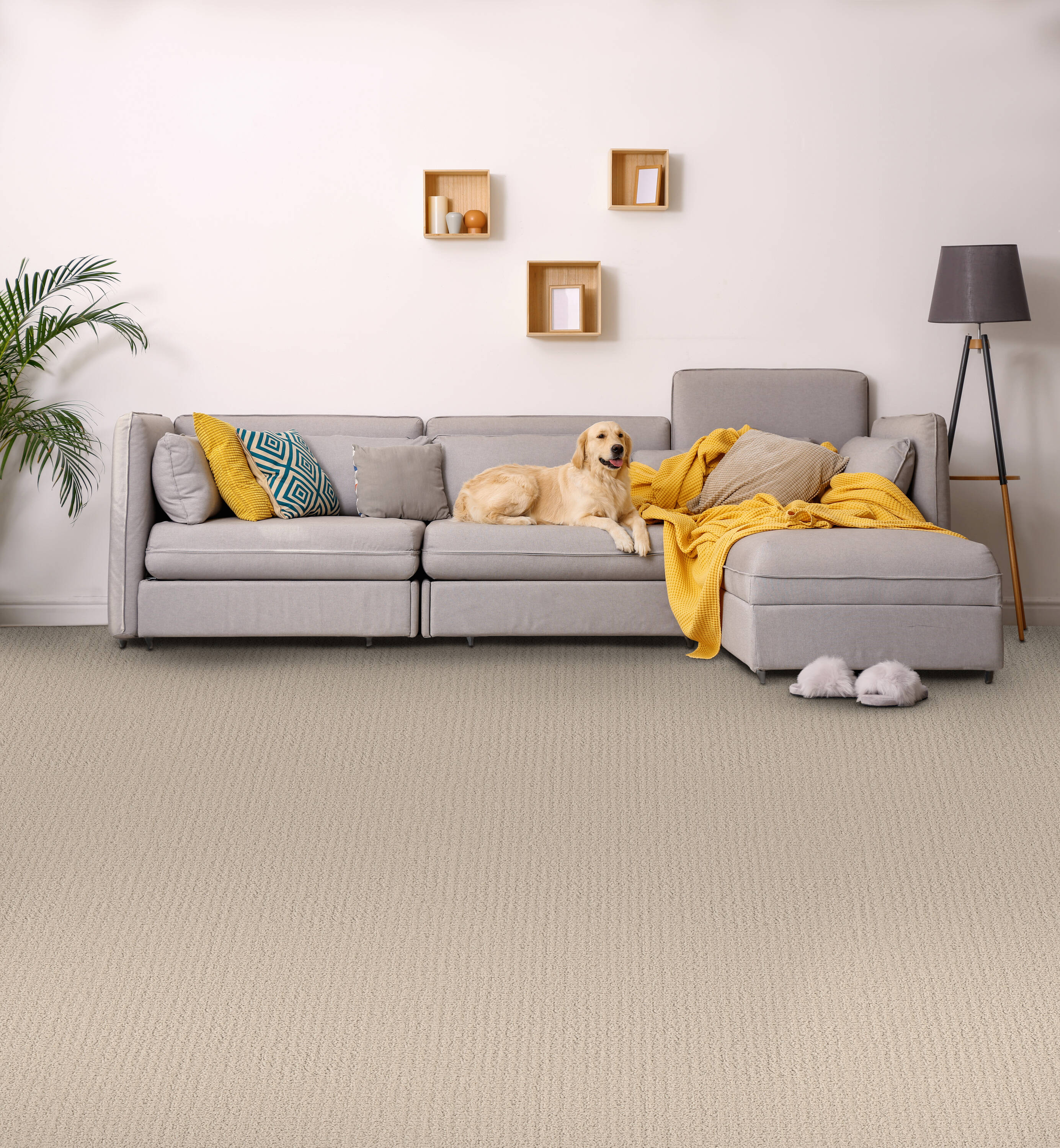 STAINMASTER PetProtect 7L85400104 Carpet-Panel - View #5