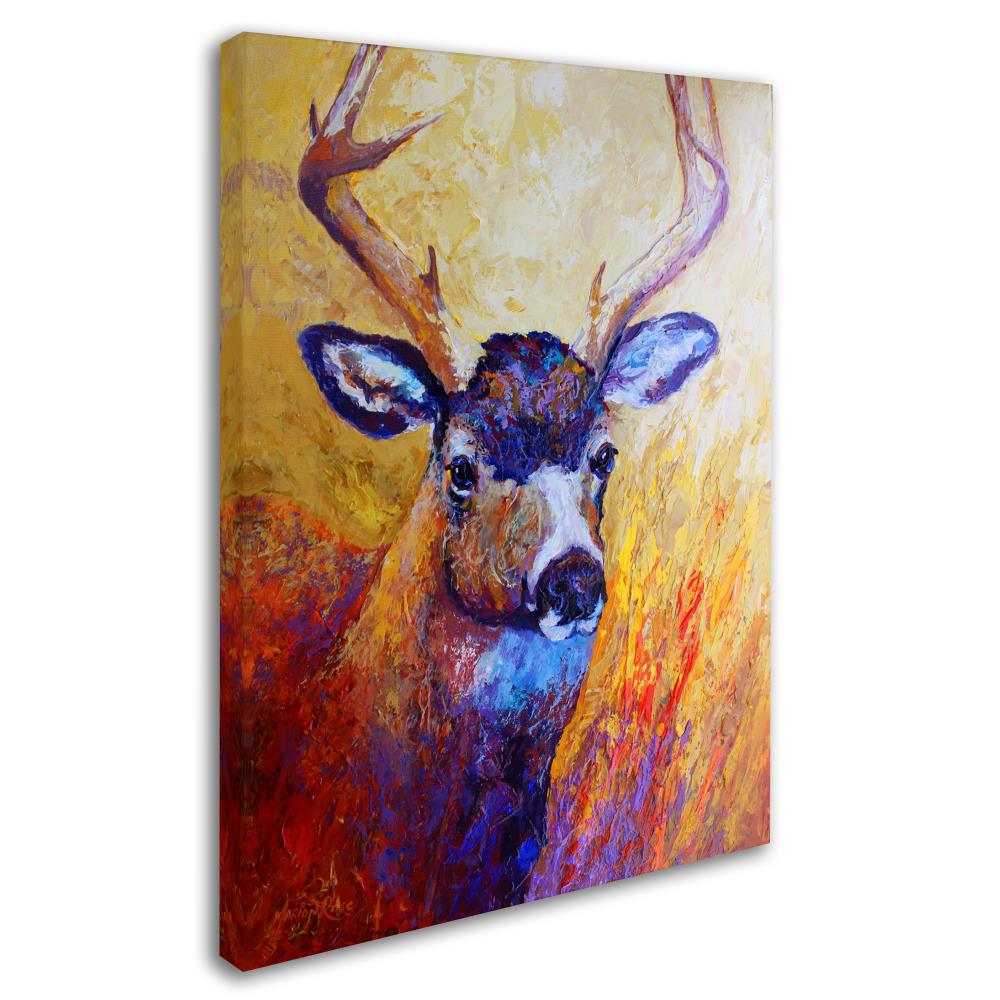 Trademark Fine Art Framed 19-in H x 14-in W Animals Print on Canvas at ...