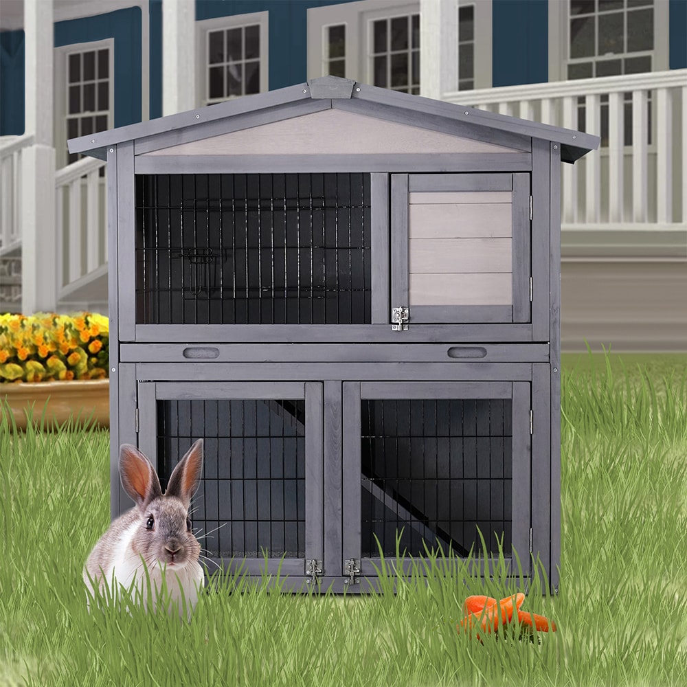 Rabbit house sale near me