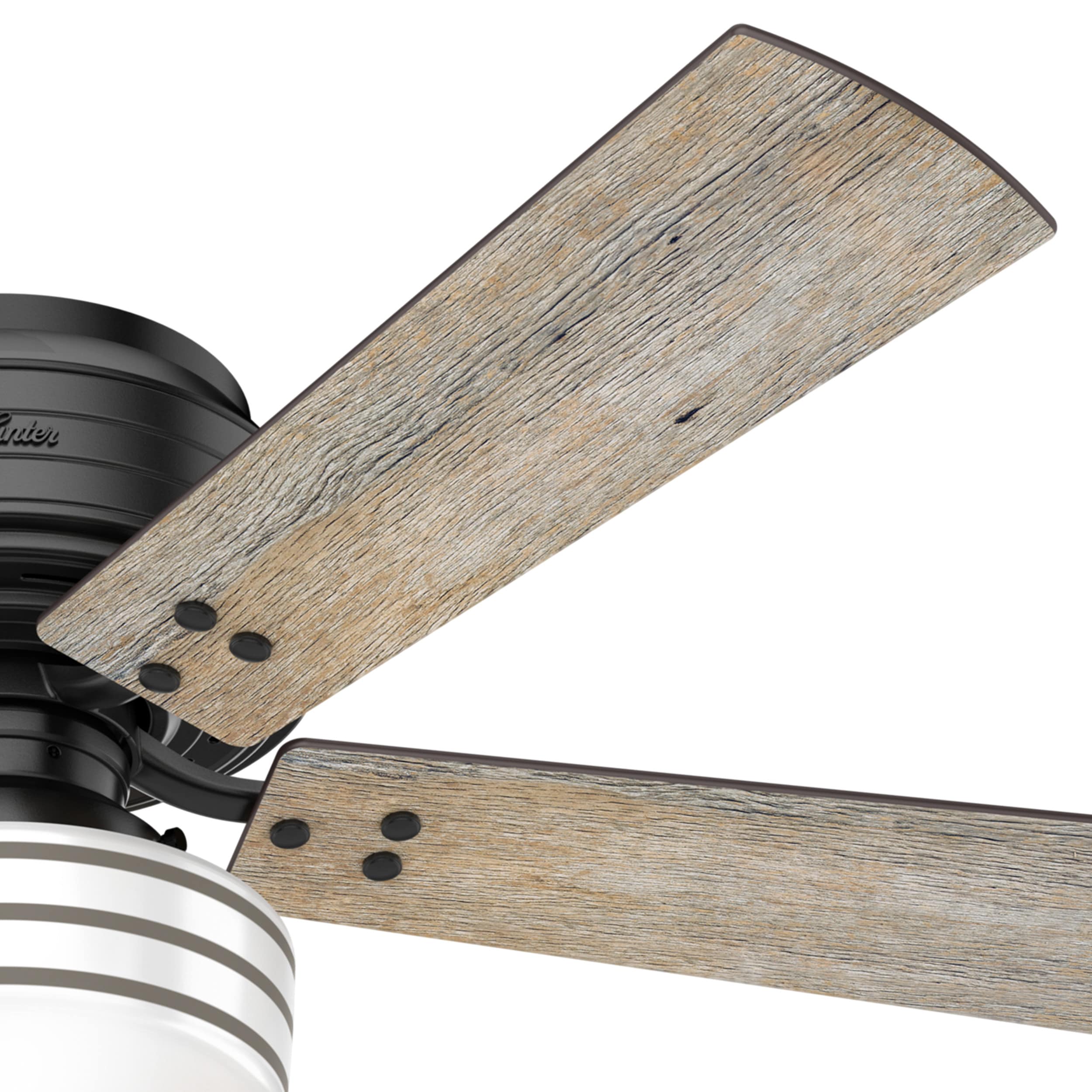 Hunter 55080 Ceiling-Fans - View #6
