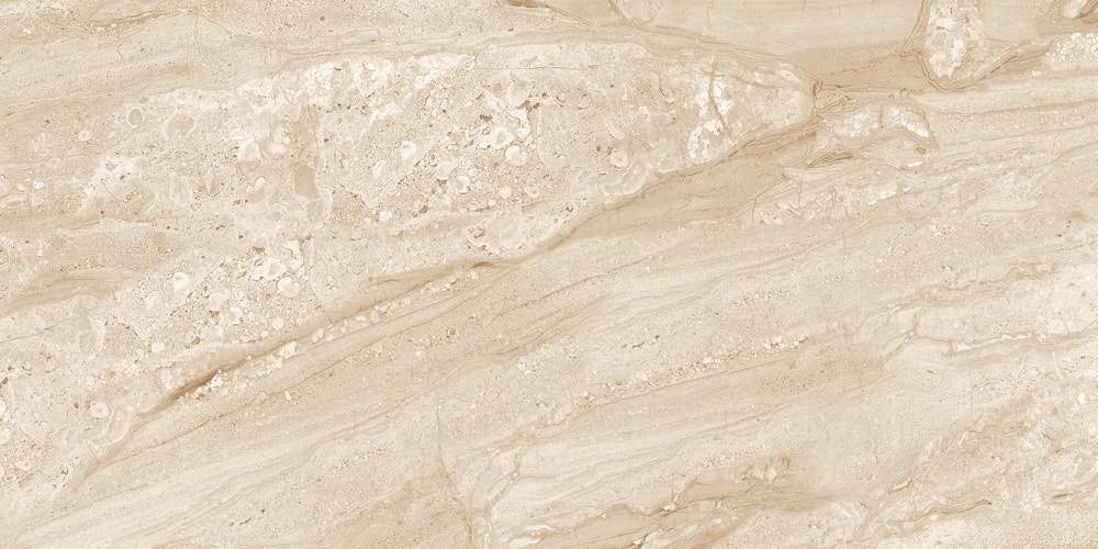 Elida Ceramica LWSSMMC2448M Ceramic-Tile - View #8