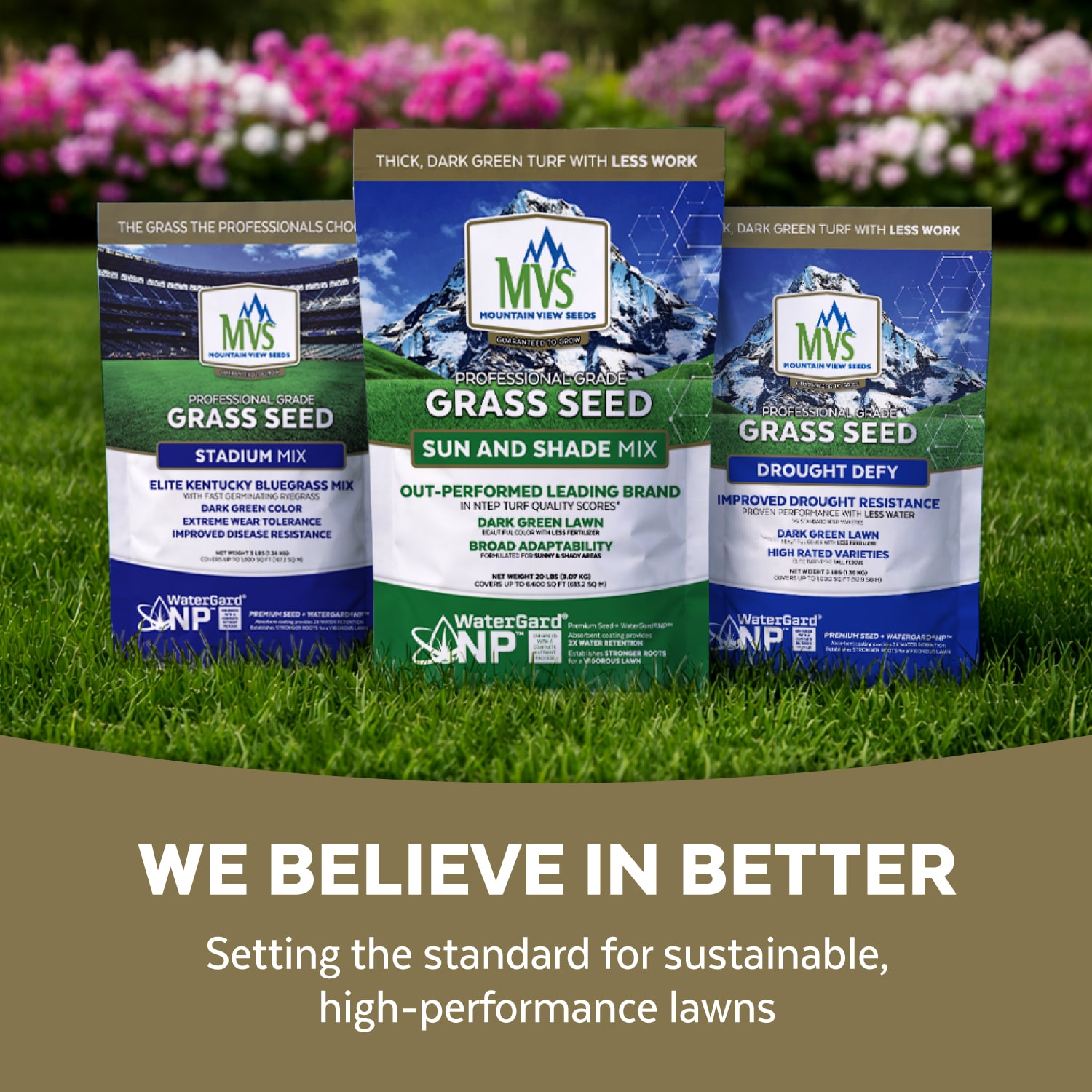 Mountain View Seeds 111970 Grass-Seed - View #6