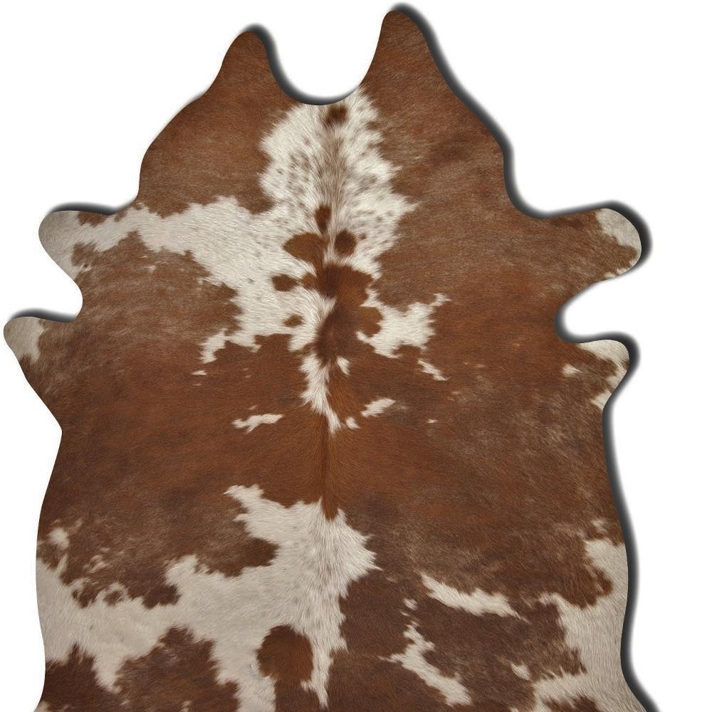 HomeRoots 317316 rugs - View #4