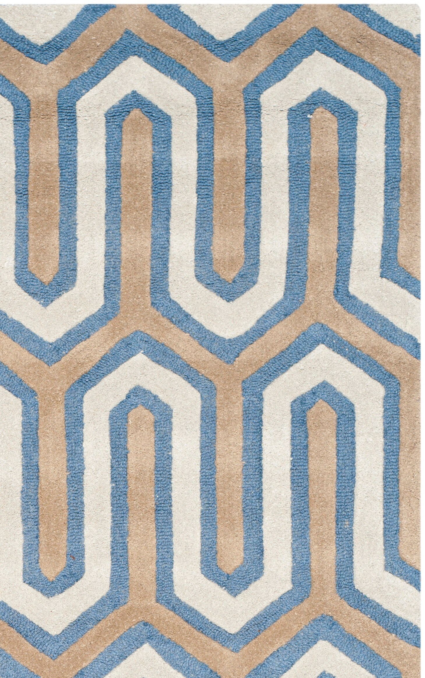 Safavieh CAM351M-5 rugs - View #6