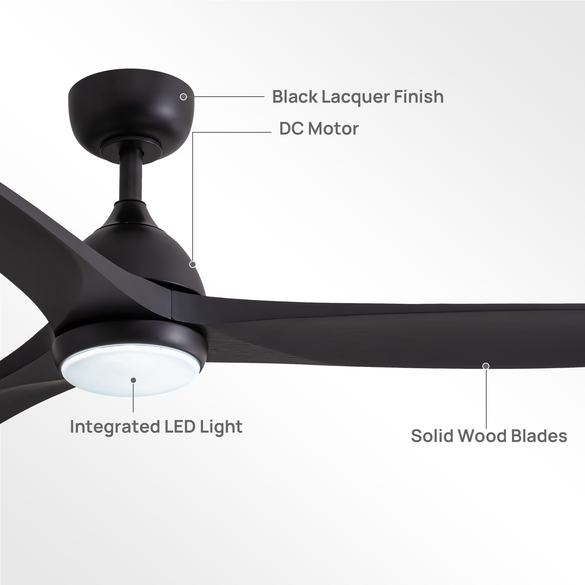 Antoine BLW025 Ceiling-Fans - View #10