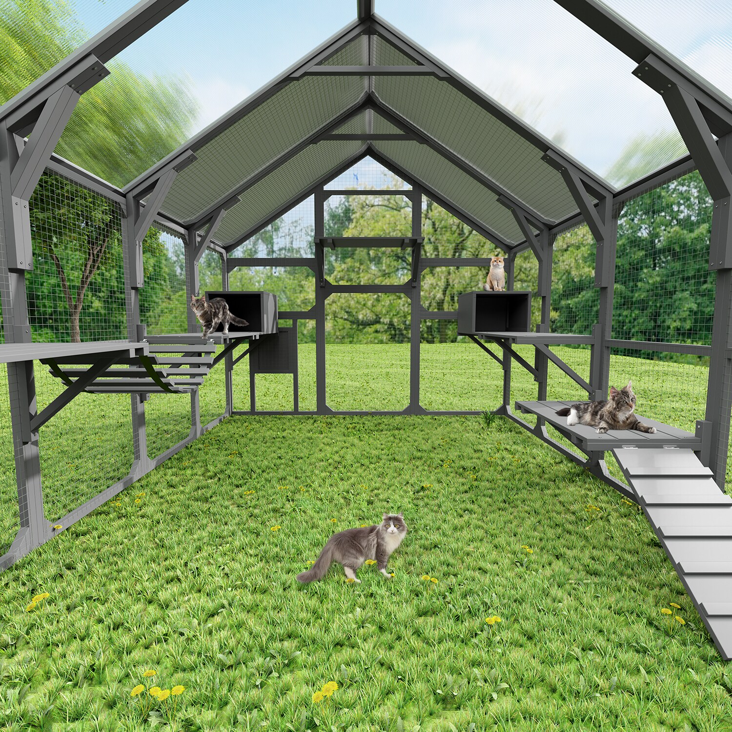 Mondawe MD-CH00030 Chicken-Coops-Rabbit-Hutches - View #5