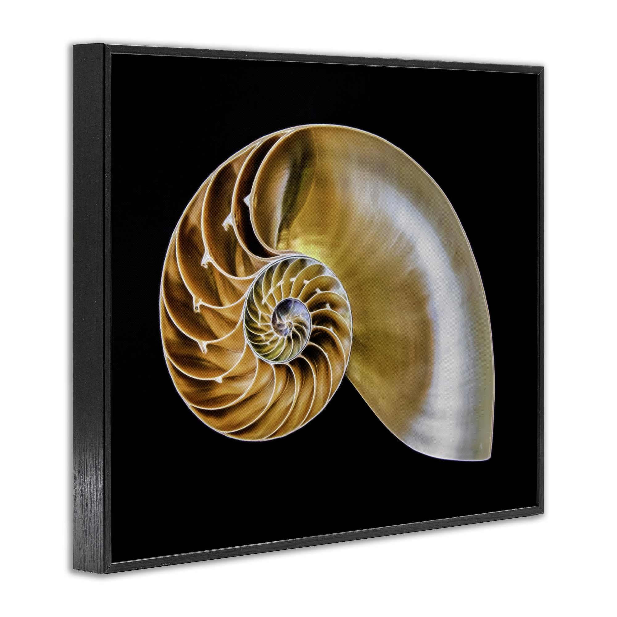 Stupell Industries BT-351-FR-16X20 Wall-Art - View #2