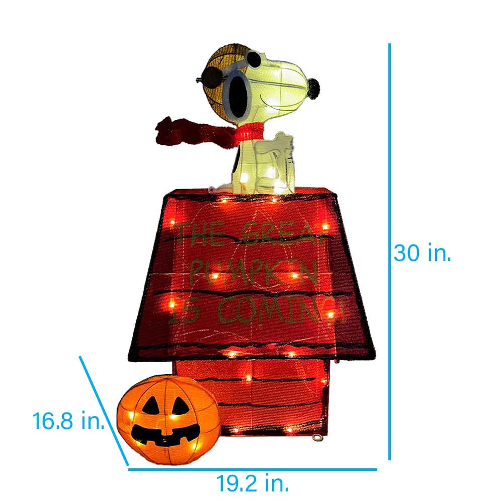Peanuts 553031 Outdoor-Halloween-Decor - View #4