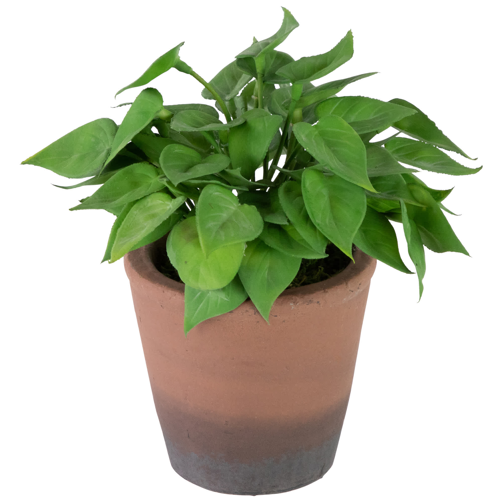 Northlight NORTHLIGHT SM99510 Artificial-Plants-Trees - View #3