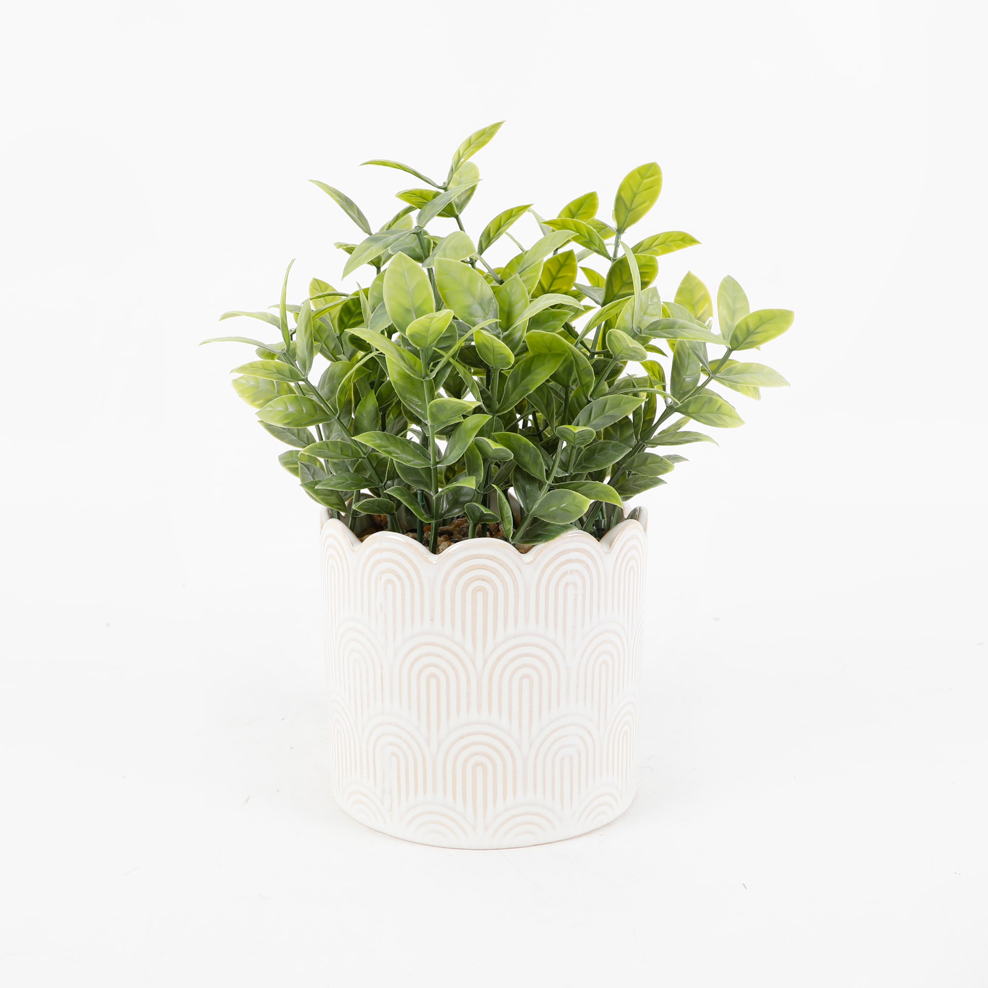 Flora Bunda CS8045E-IVORY 10-in IVORY Indoor Desktop Succulent Artificial plant