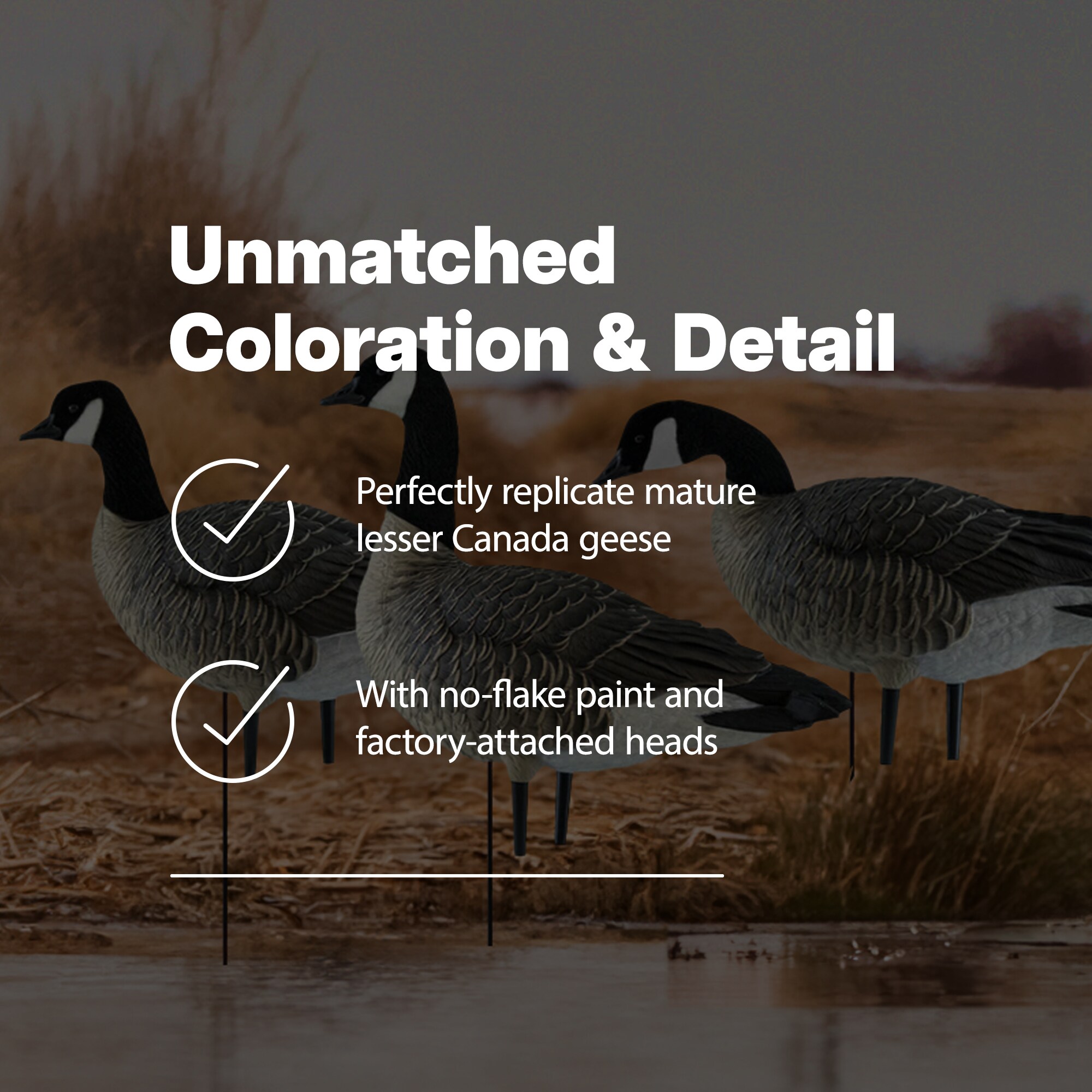  Avian X 408537 Hunting-Equipment - View #3