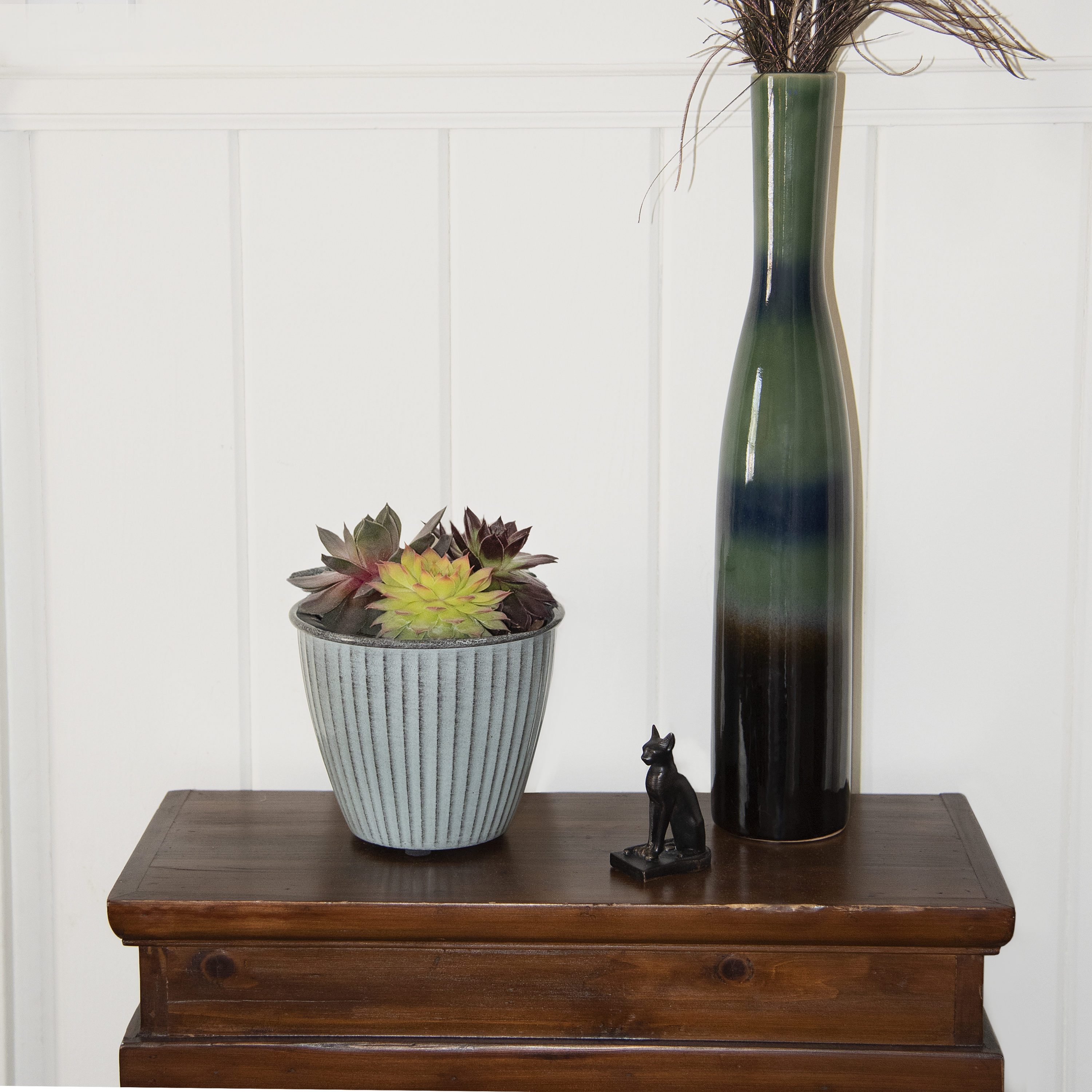 National Plant Network LW7674 Cacti-Succulents - View #3