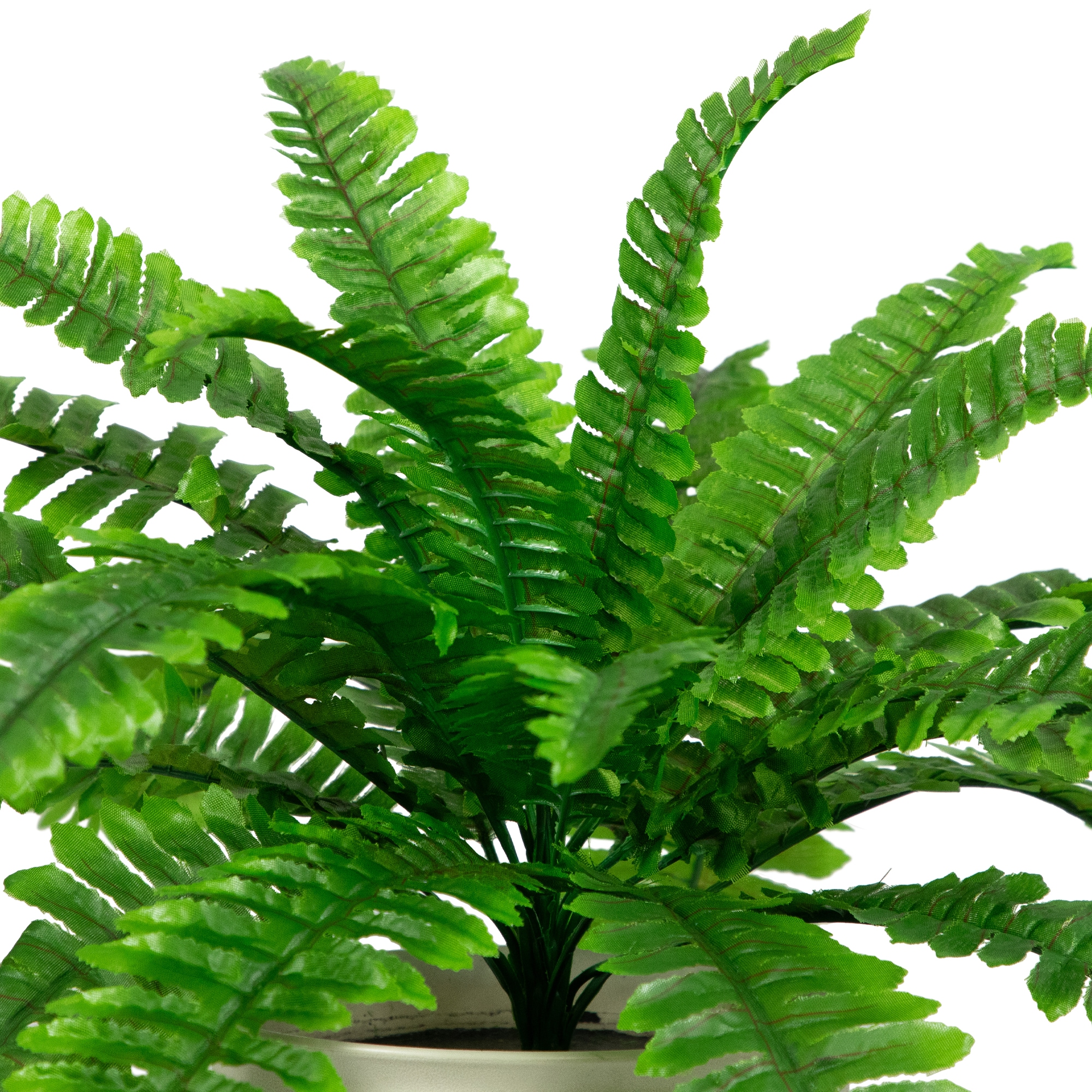 Northlight 32035988 Artificial-Plants-Trees - View #5
