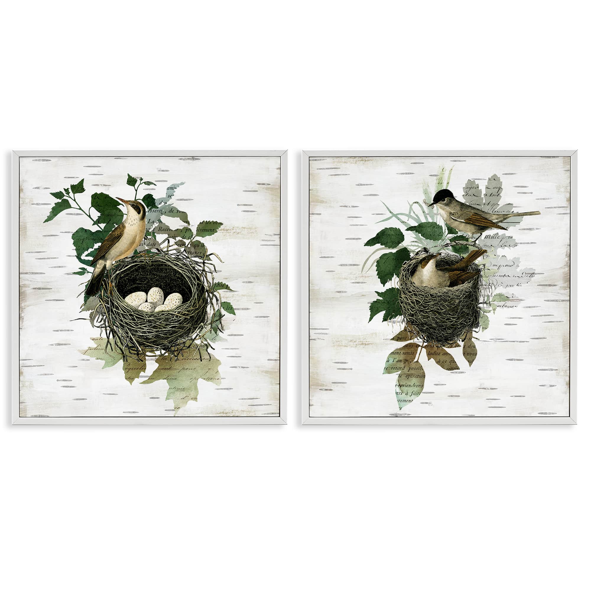 Stupell Industries B2-749-WFR-2PC-12X12 Rustic Vintage Bird Nests 2pc Framed Giclee Set design by Susan Arnot