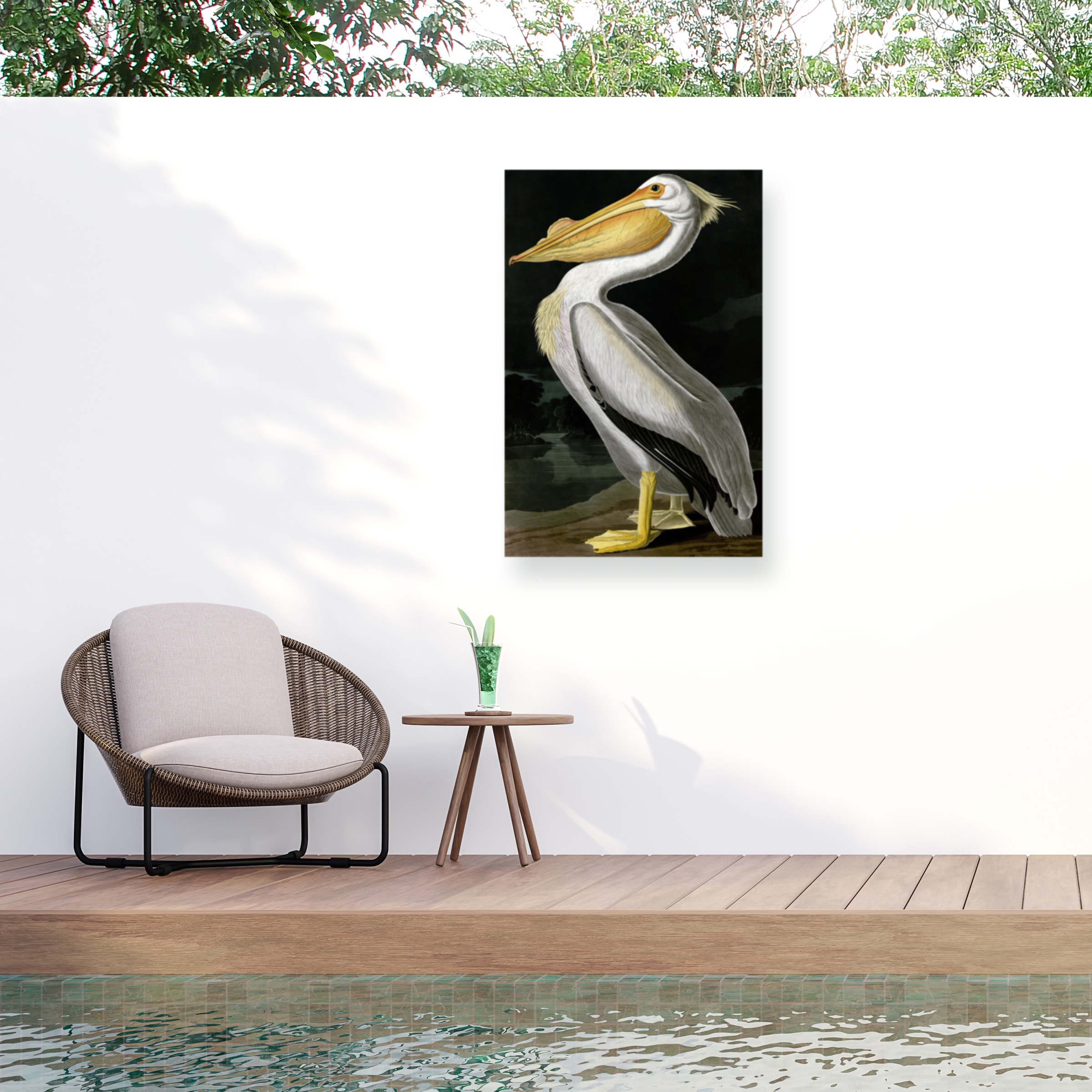 Trademark Fine Art John James Audubon 'American White Pelican