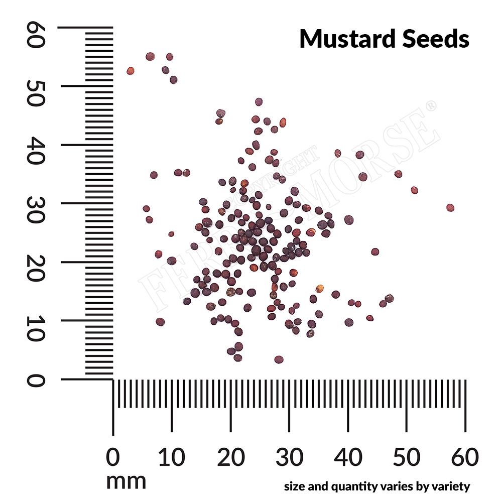 Ferry-Morse LC25.7441 Vegetable-Herb-Seeds - View #4