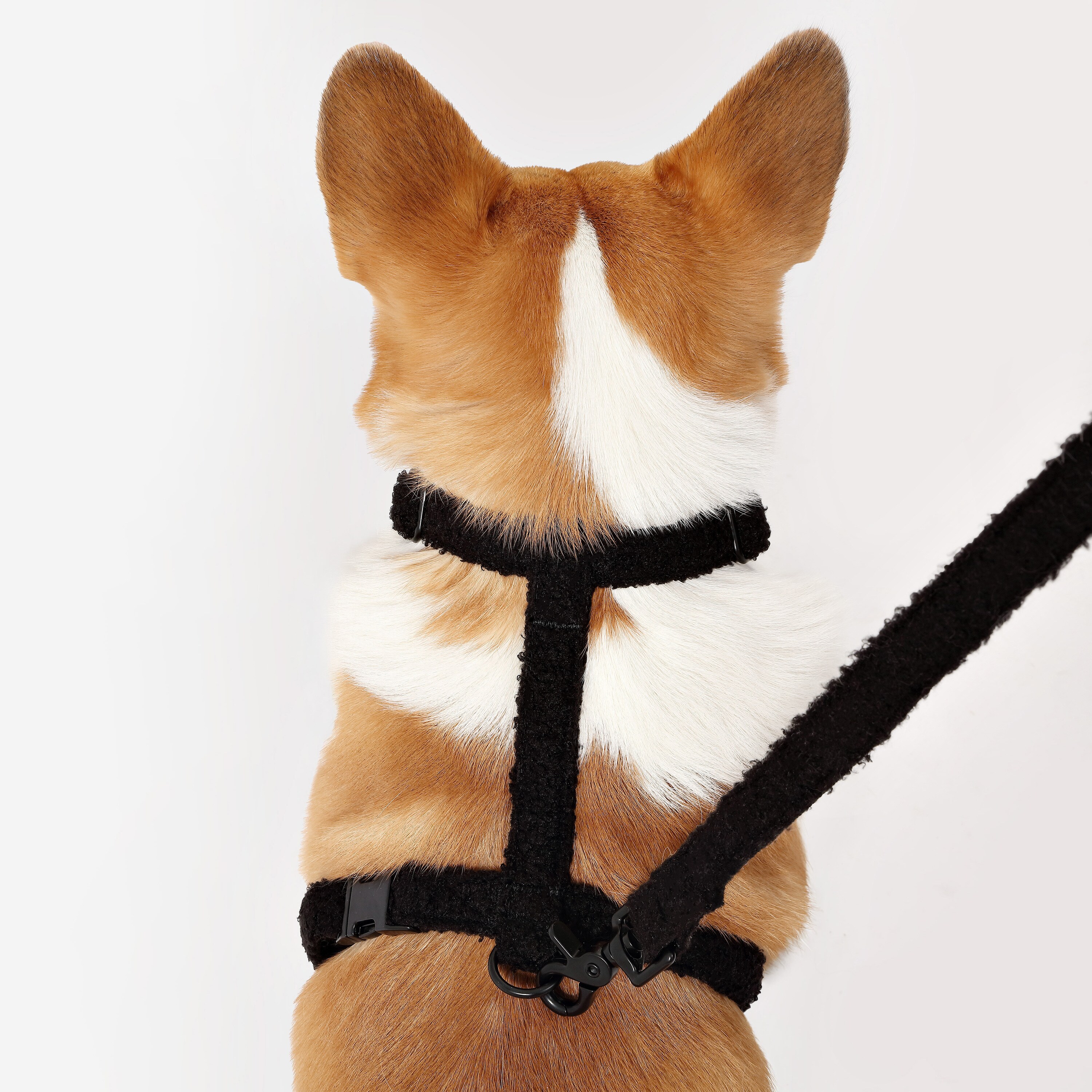 The Licker Store WLK1002C-4SET Dog-Collars-Harnesses - View #7