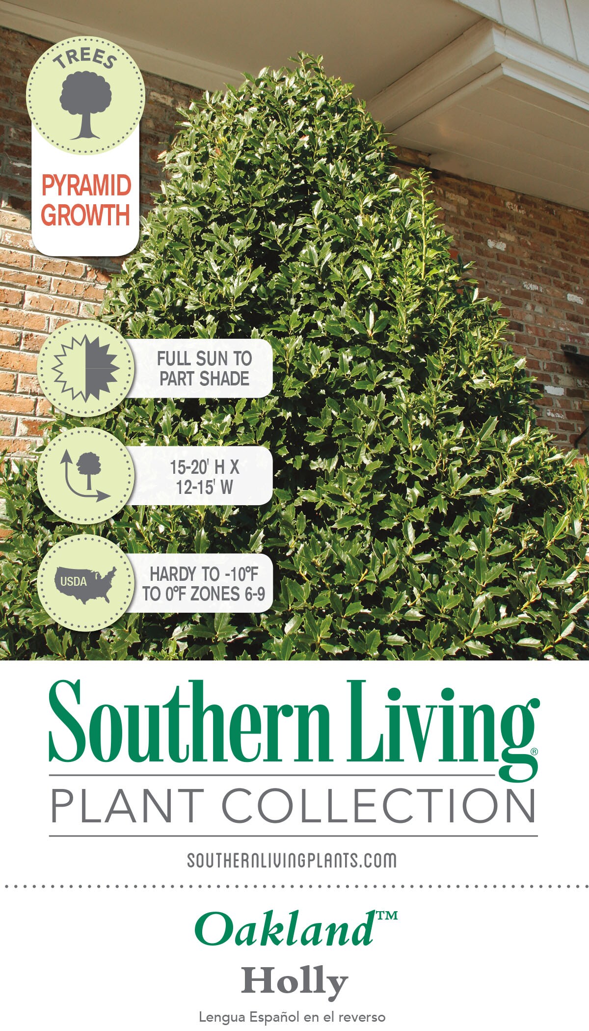 Southern Living Plant Collection 3022Q-1 shrubs - View #9