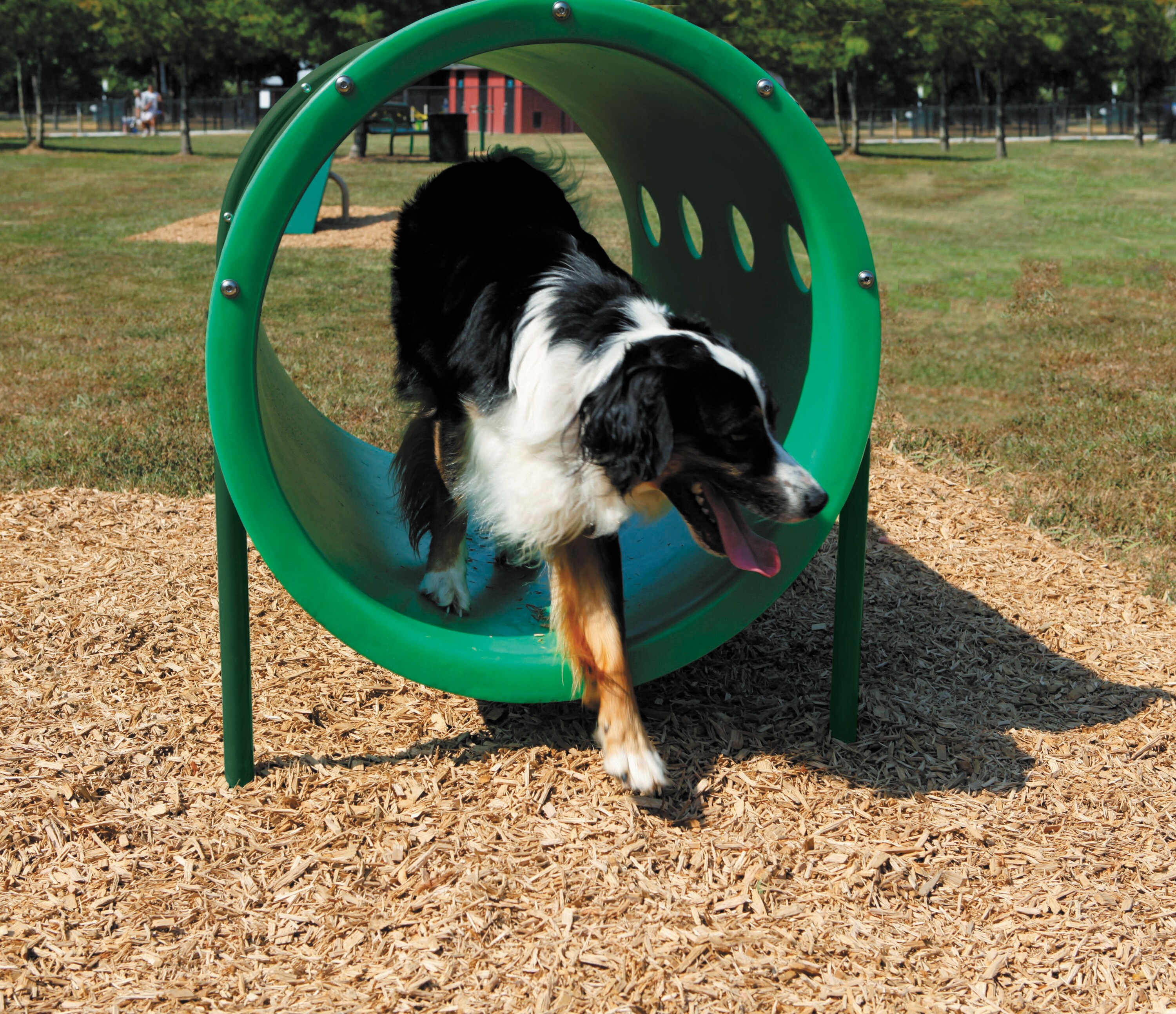 UltraPlay 02-07-0057-GRN Dog-Park-Agility-Course-Components - View #4