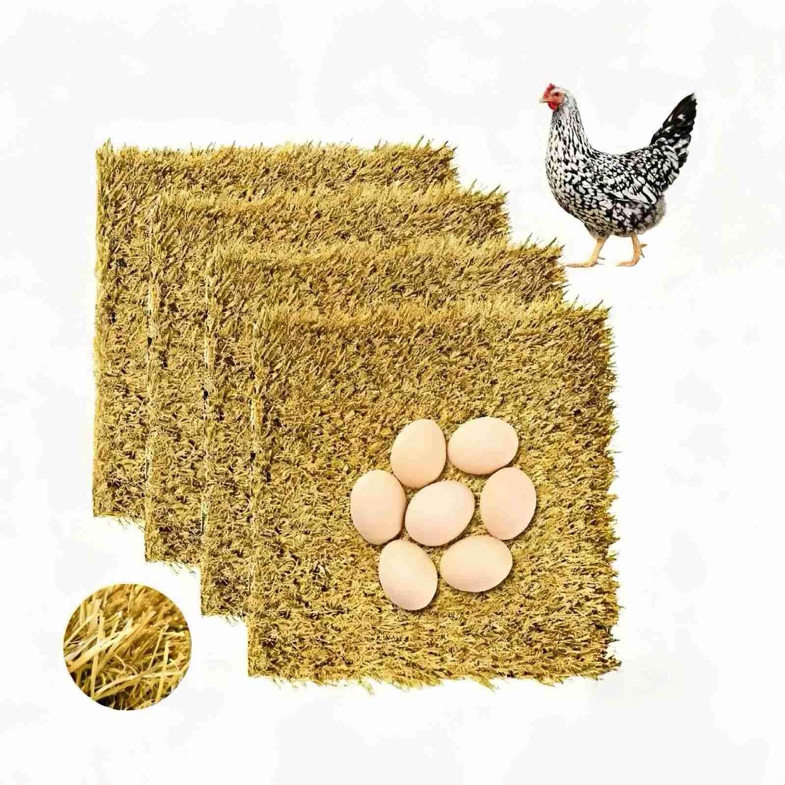 Adrinfly Chicken Coops & Rabbit Hutches at Lowes.com