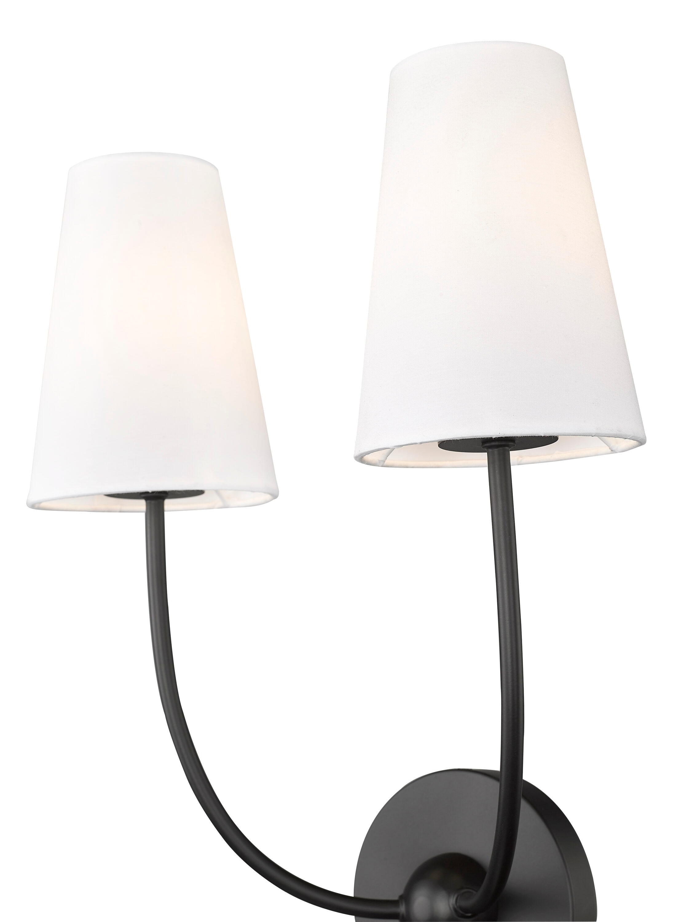 Matte Black and White 2-Light Wall Sconce