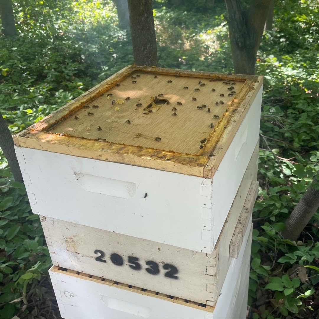 Harvest Lane Honey WWIC-101 Greenhouse-Vent-Openers - View #3